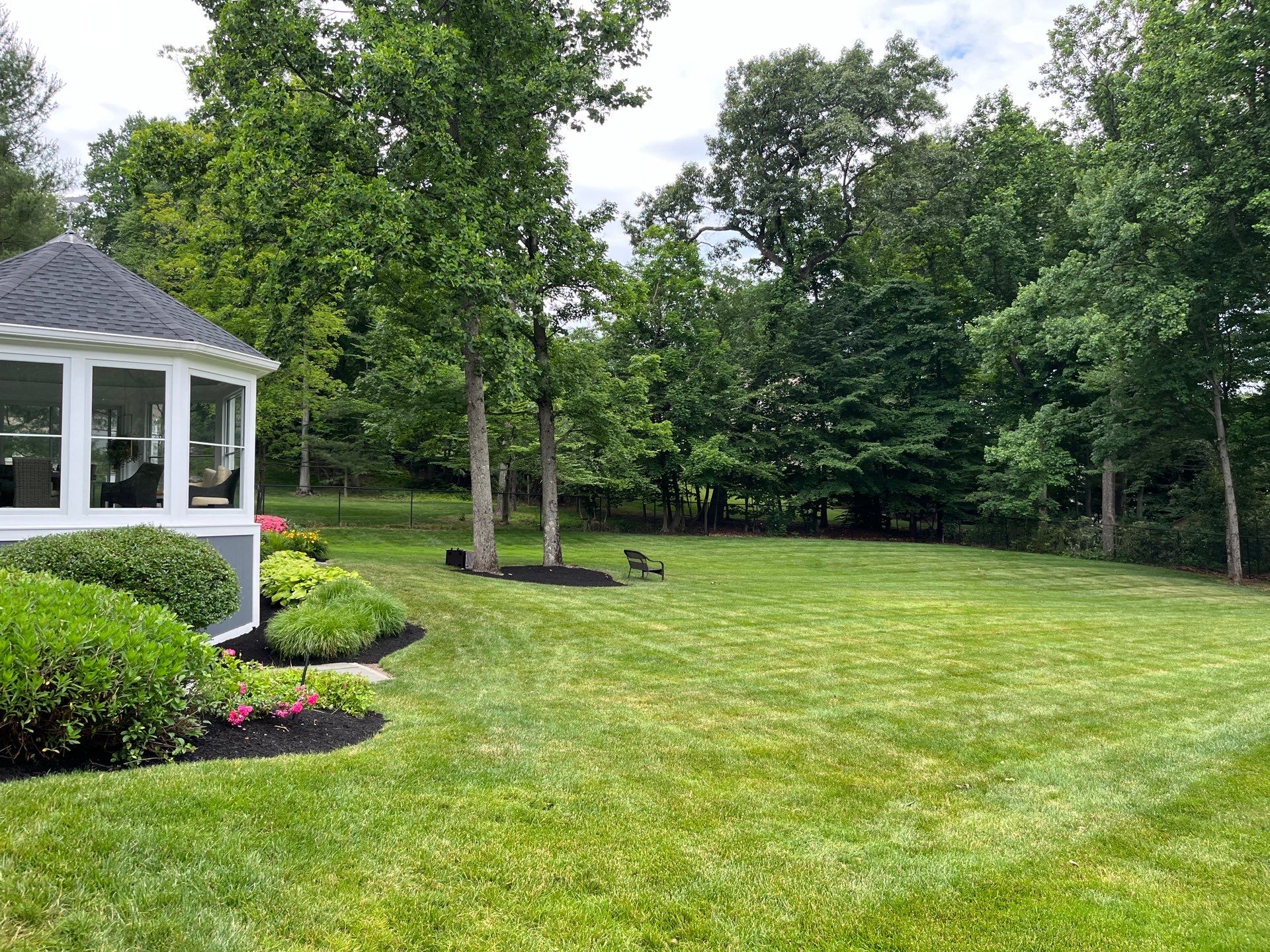 Comprehensive Lawn Care in Warren by Ants Plants