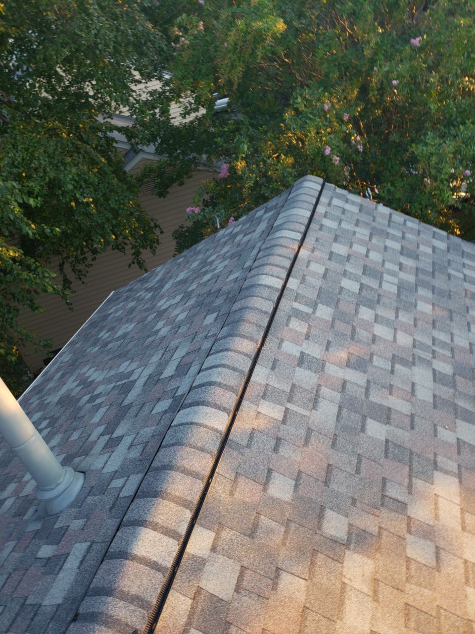 Alexandria: CertainTeed Landmark Pro Designer Shingles in Max Def Colonial Slate by RM Banning, Inc.