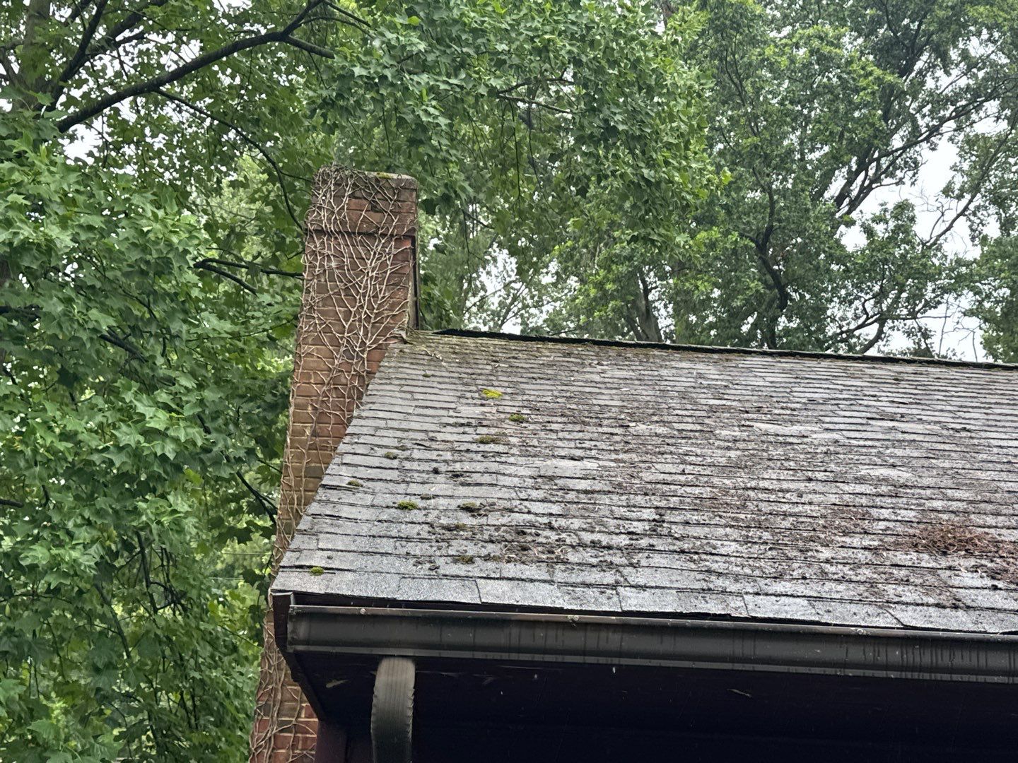 Roof, Siding, & Gutter Replacement by Homestyle in Berea by Homestyle Home Improvements (HHI)