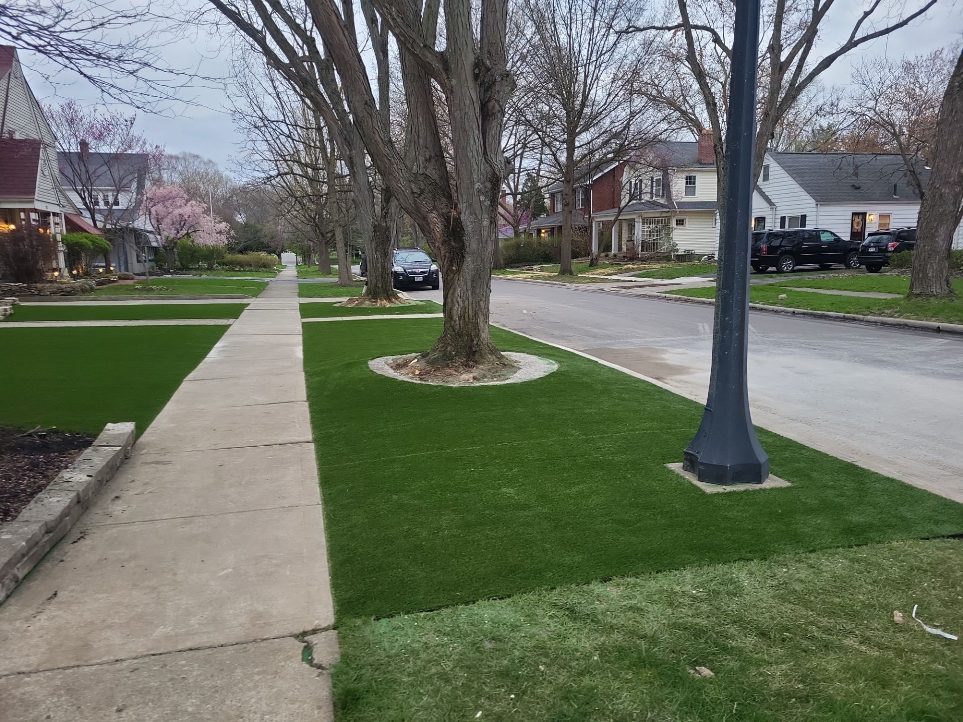 Full Turf Front & Back Pet Lawn by Southwest Greens Midwest