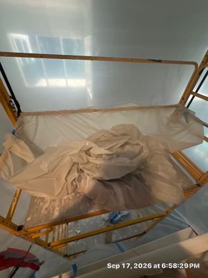 Mold Remediation — Bonita Springs, FL