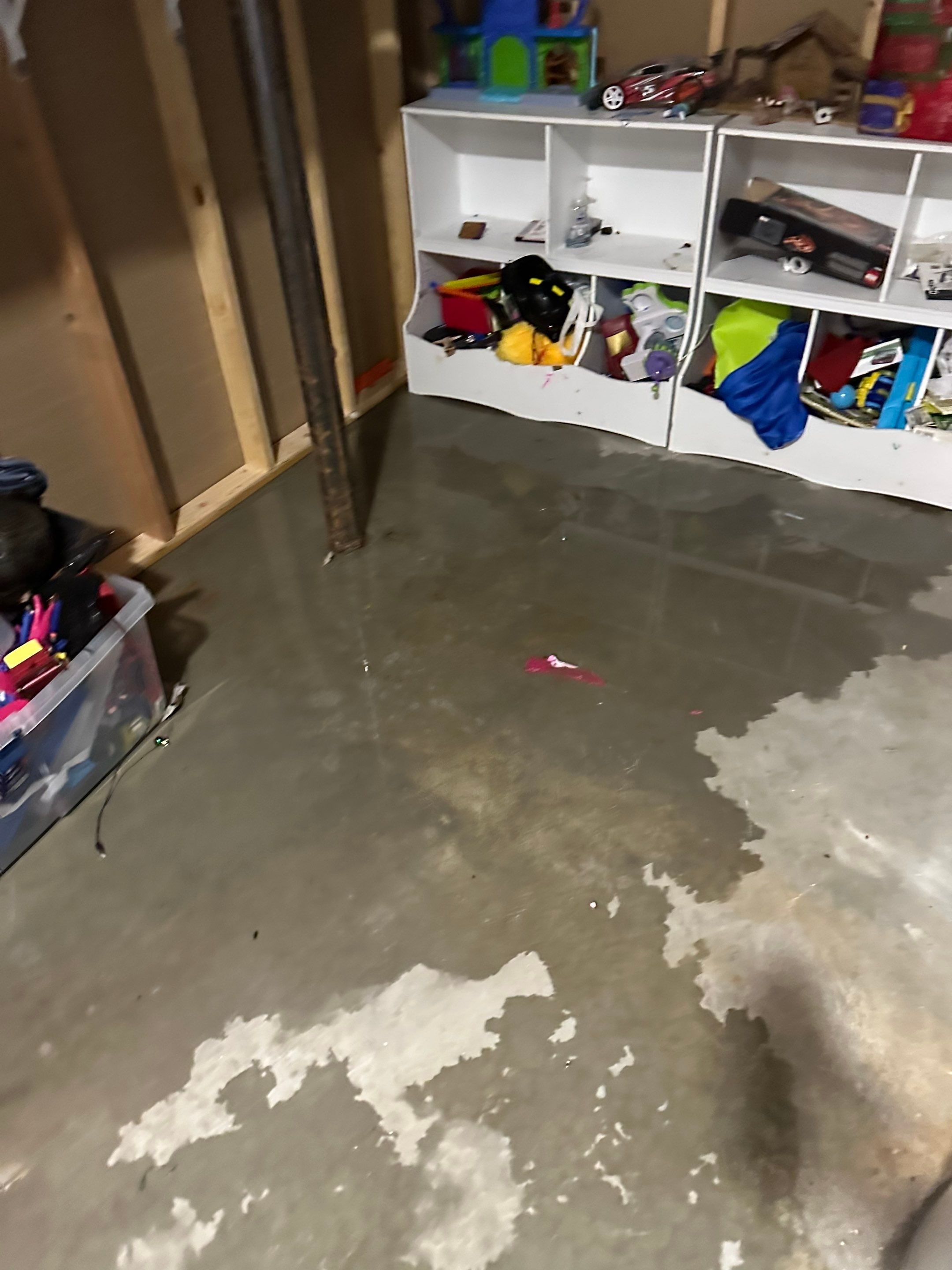 Project in White Lake by EzDry Water Mitigation & Property Restoration