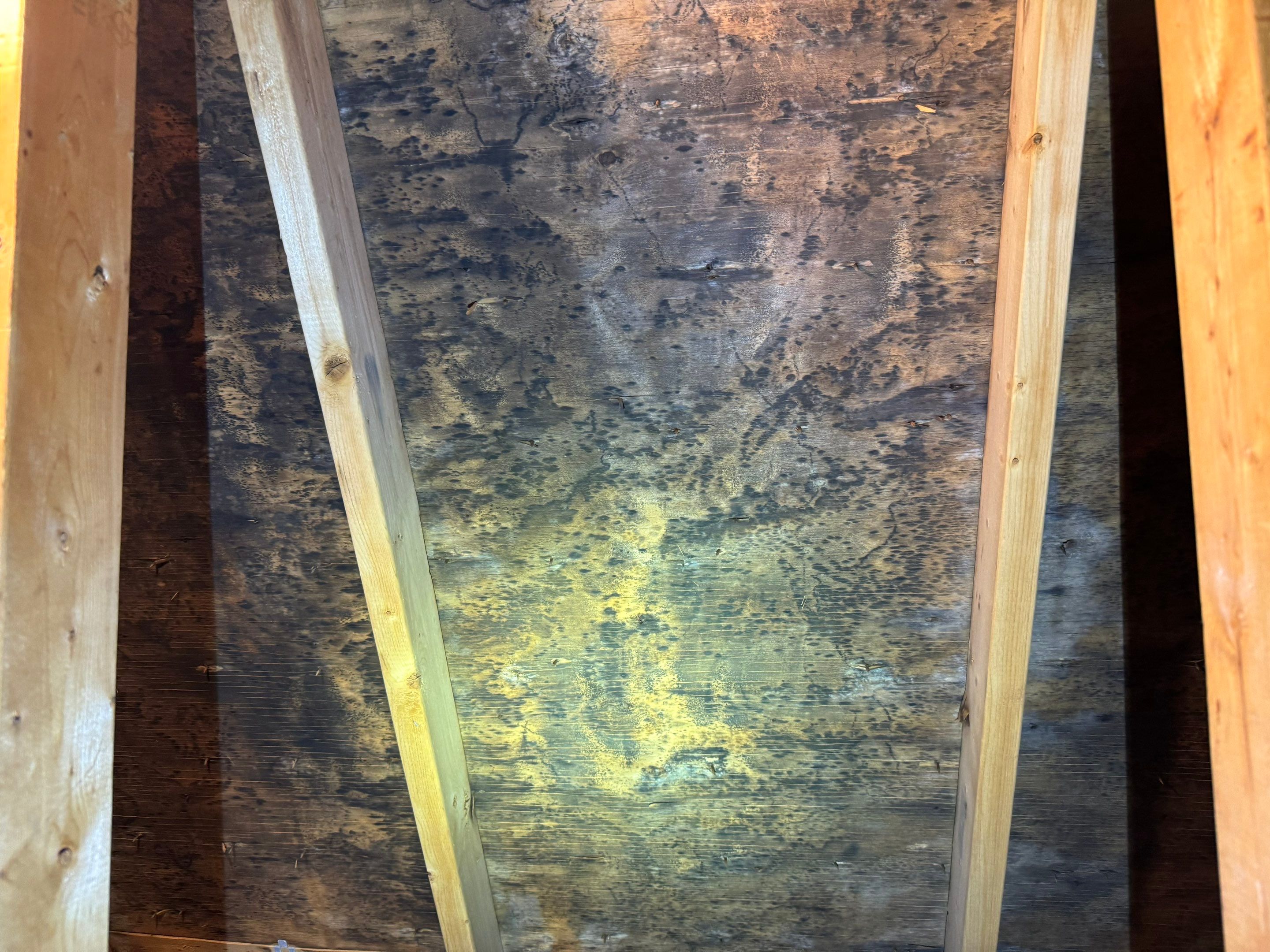 Attic Mold Remediation by Home Guarantee, LLC