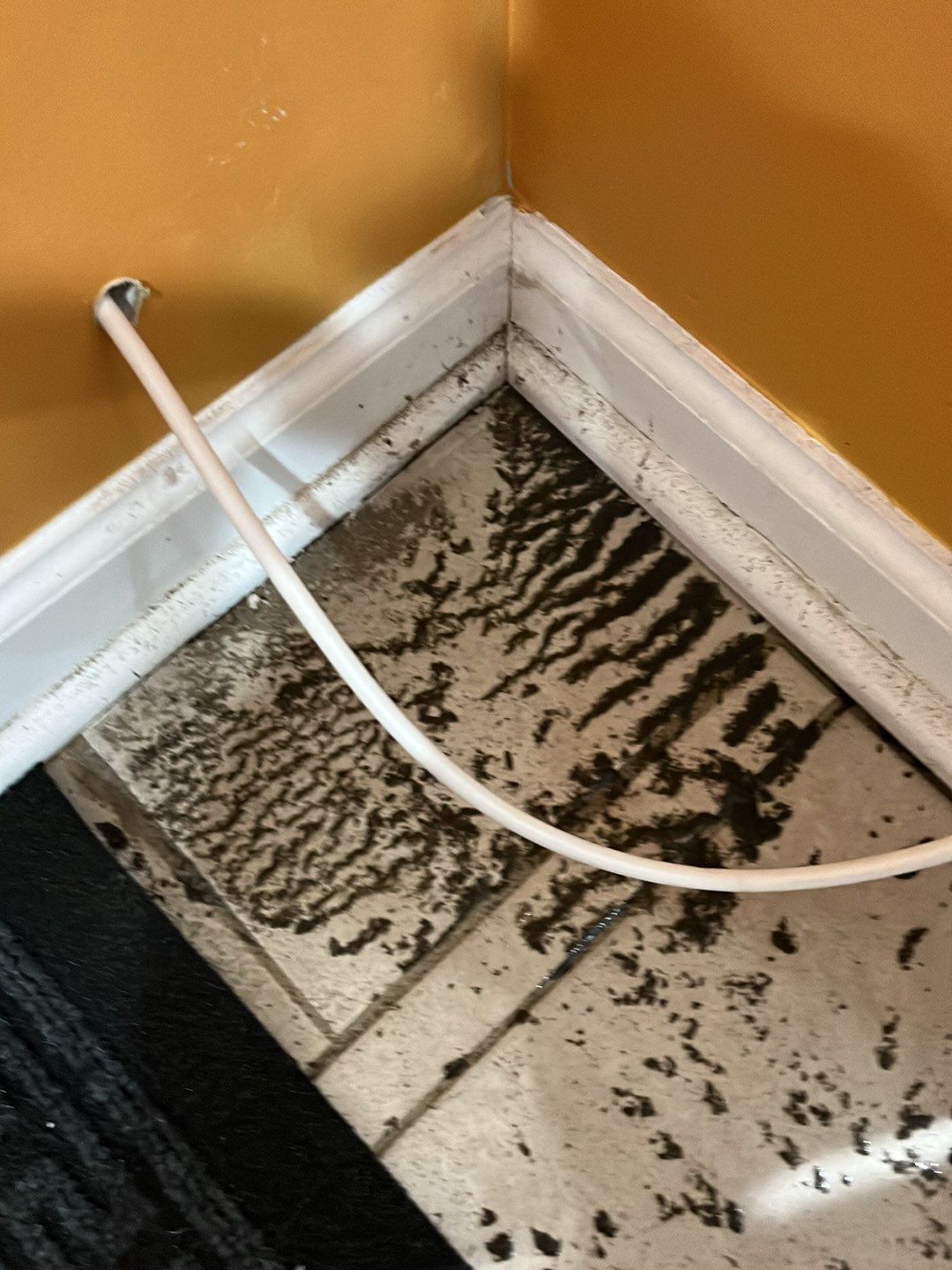 Water Damage by G2