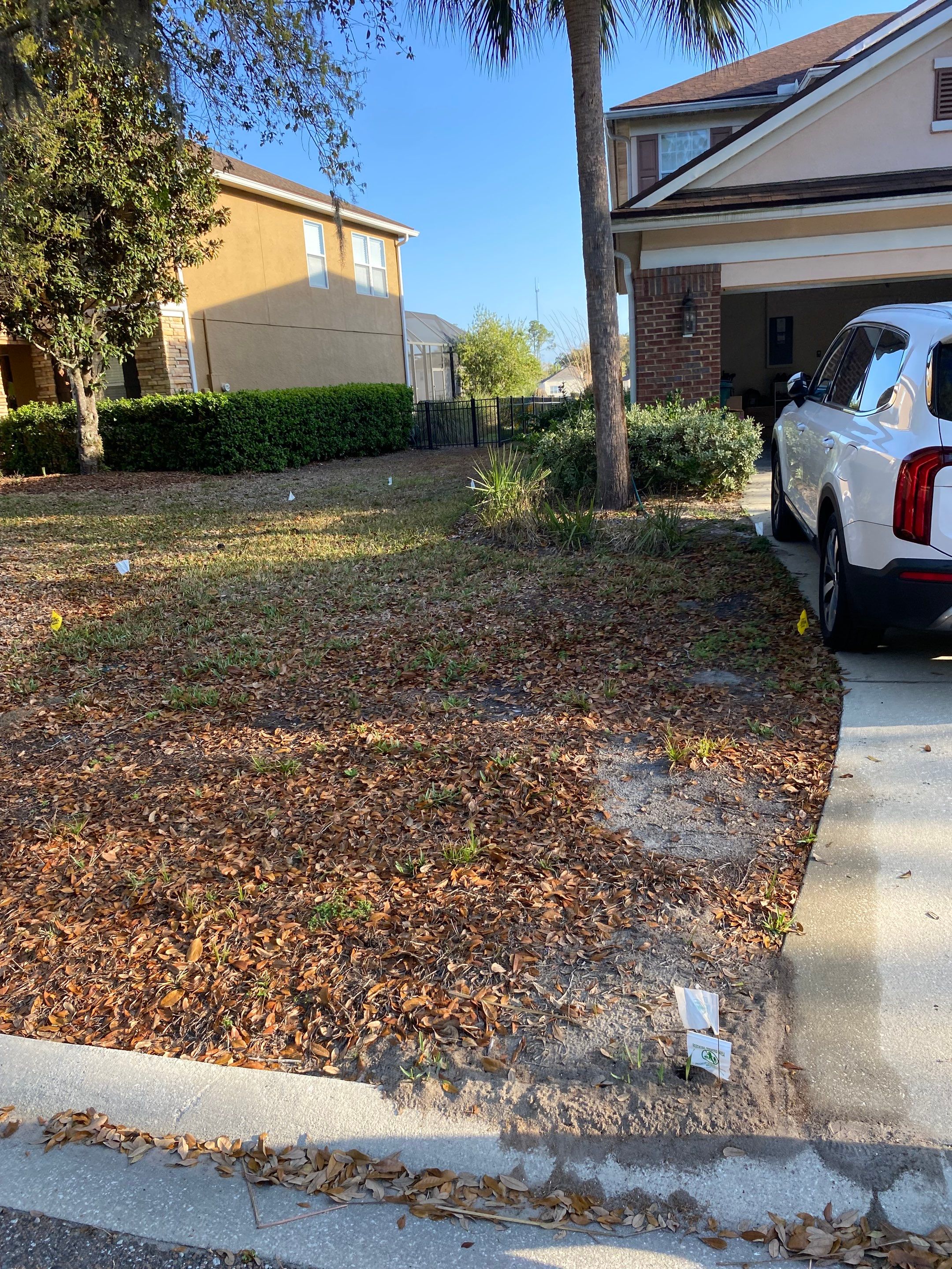 Residential | Sod Install by ProGreen Services
