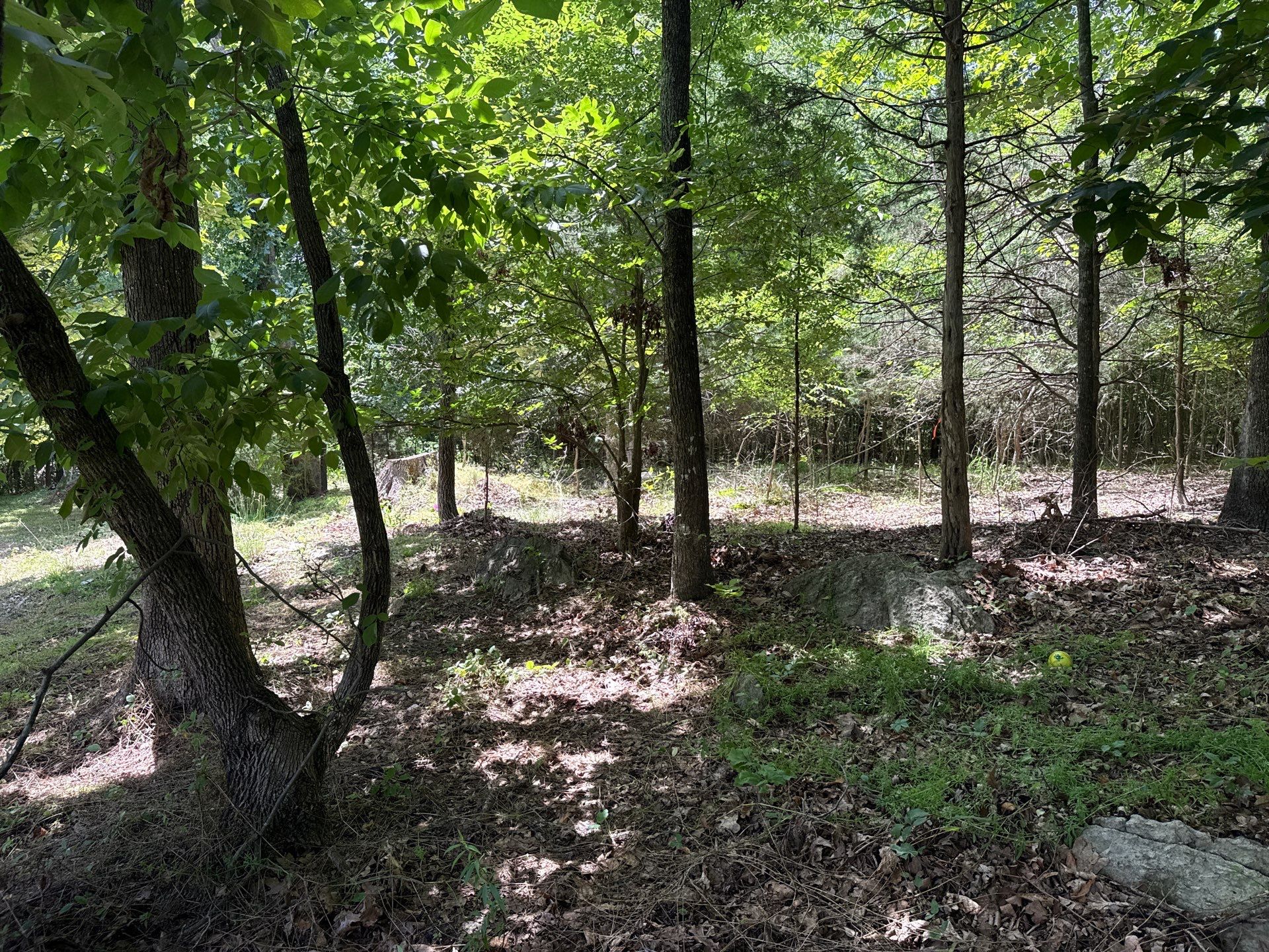 Project in Mint Hill by Badger Hauling