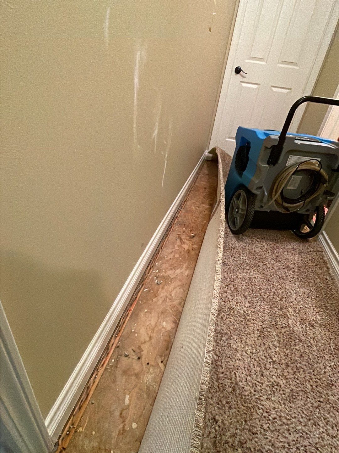 Project in Novi by EzDry Water Mitigation & Property Restoration