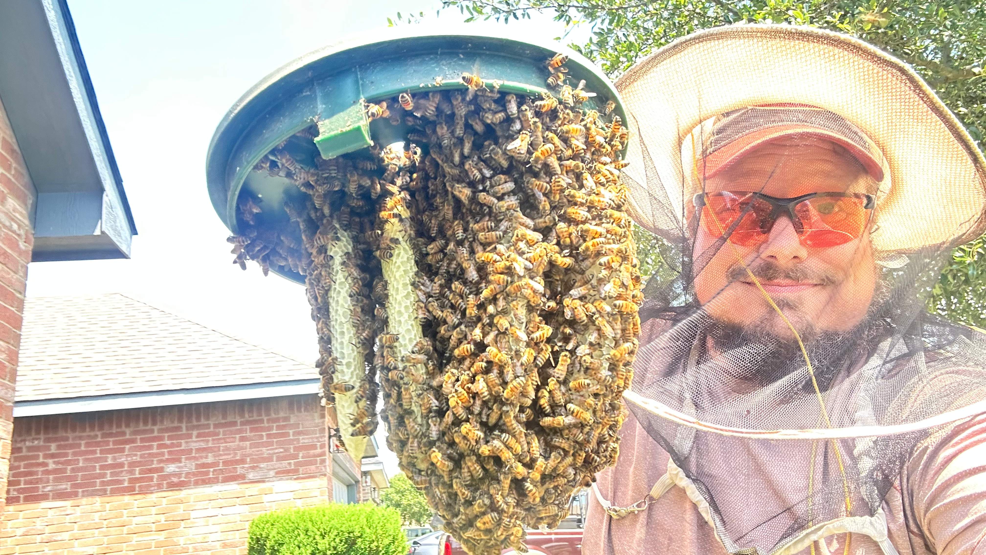Irrigation Box by Rockwall Honey Bee Company