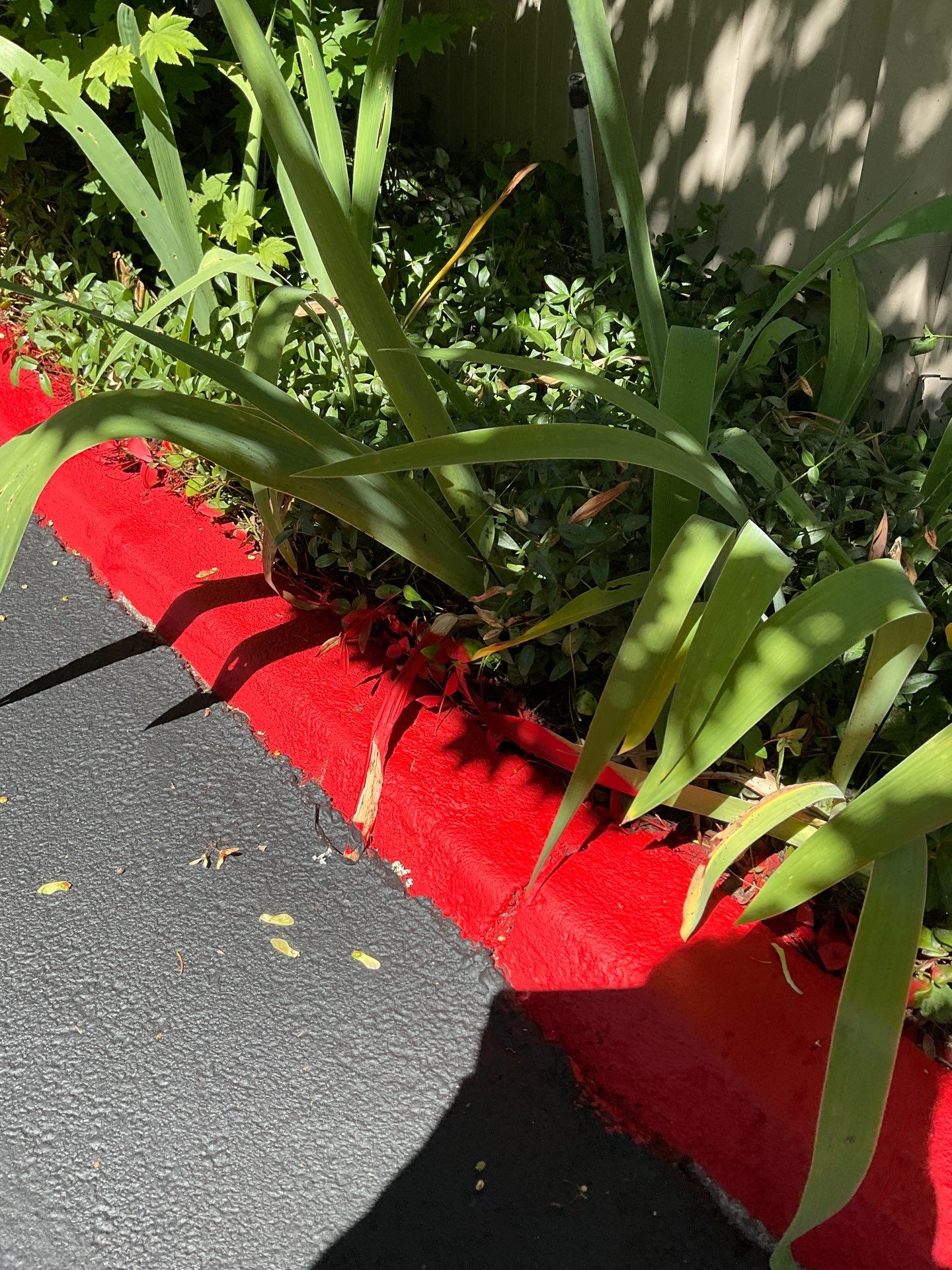 Curb Repaint | Seattle  by Jireh Asphalt & Concrete Inc 