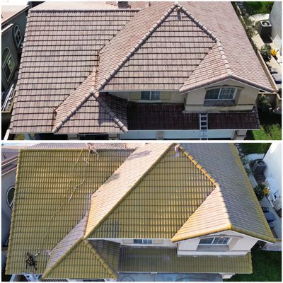Roof Cleaning SAFE CO