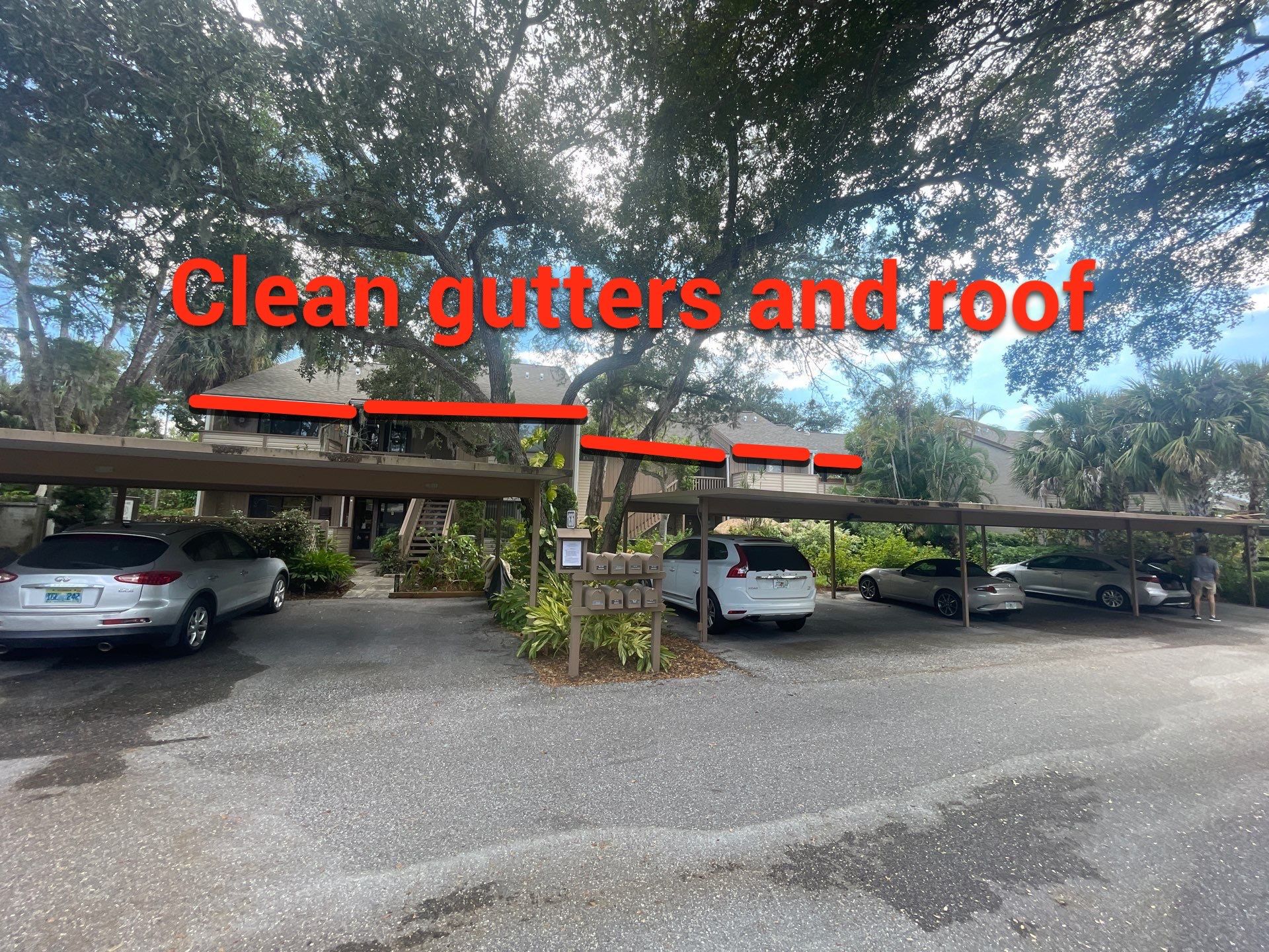 Clean Gutters and Roof in Sarasota FL by Gutter Professors