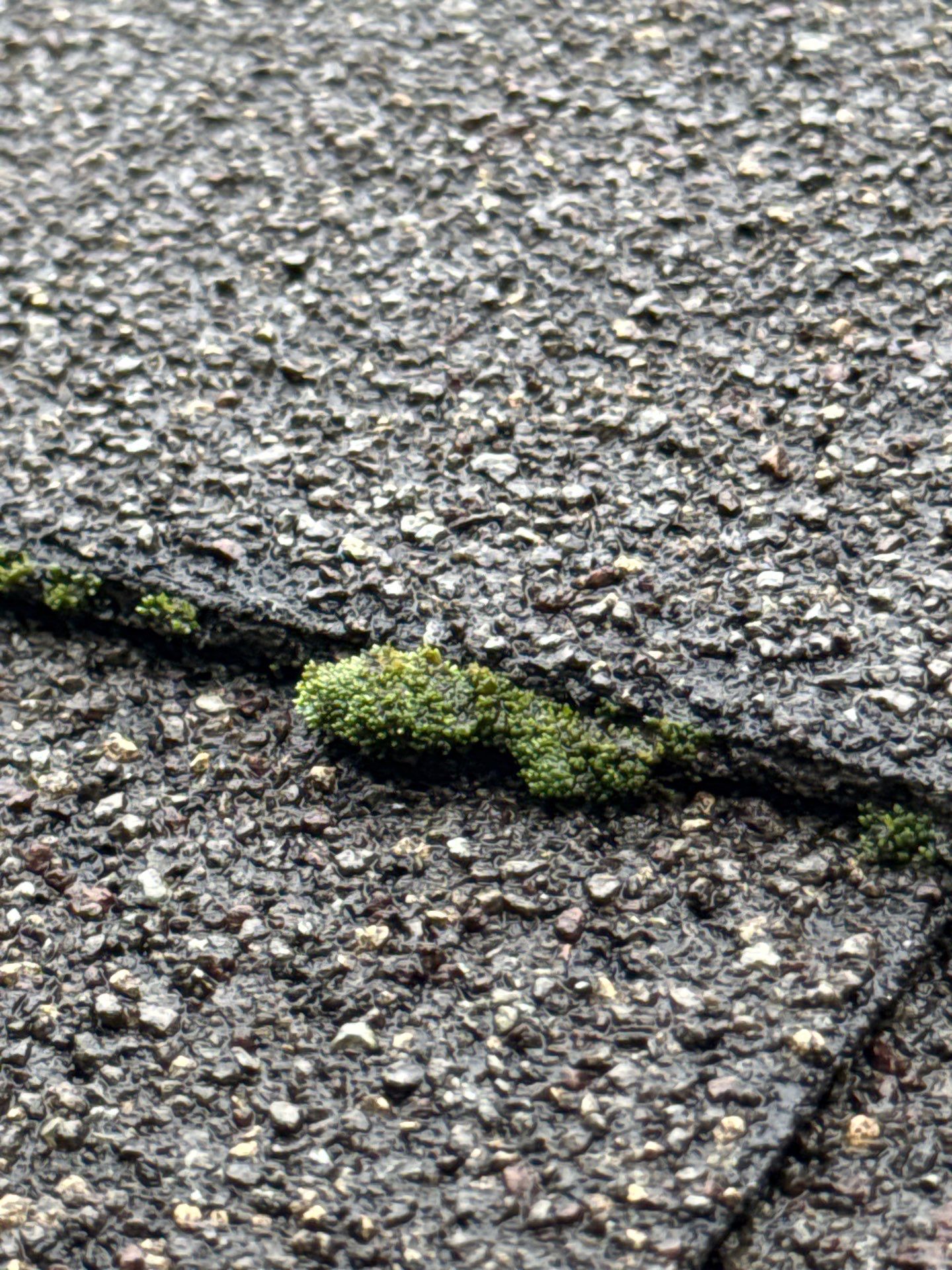 Project in Midlothian by Roof Maxx of Midlothian