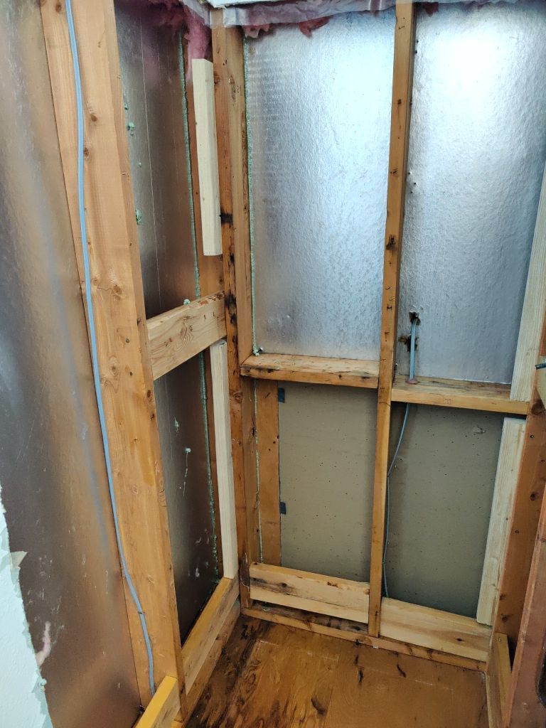 Mold Remediation  by Accountable Home Services