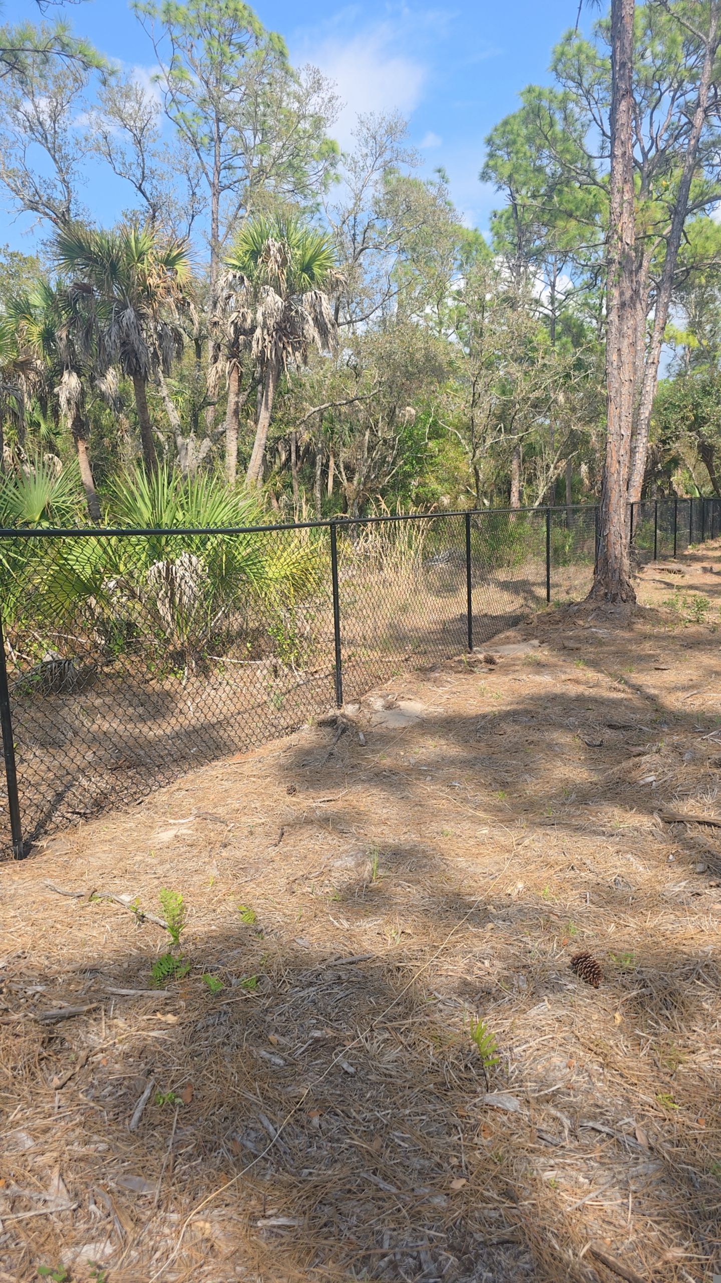 Chain Link Install in North Port by True Fence LLC