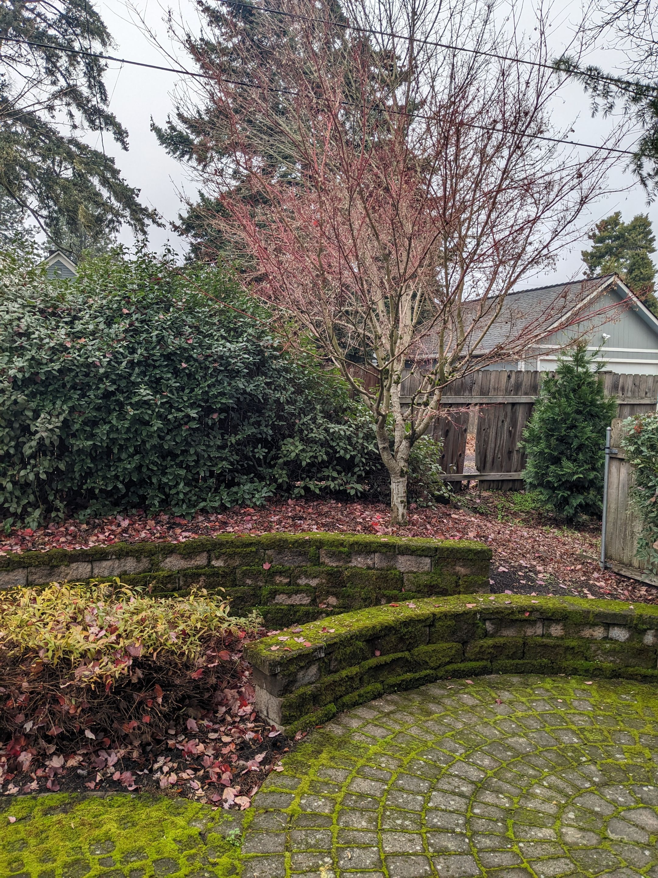 Landscape Design by CompanyCam Help Articles Test