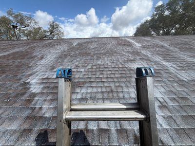 Roof Rejuvenation using Roof Maxx Treatment