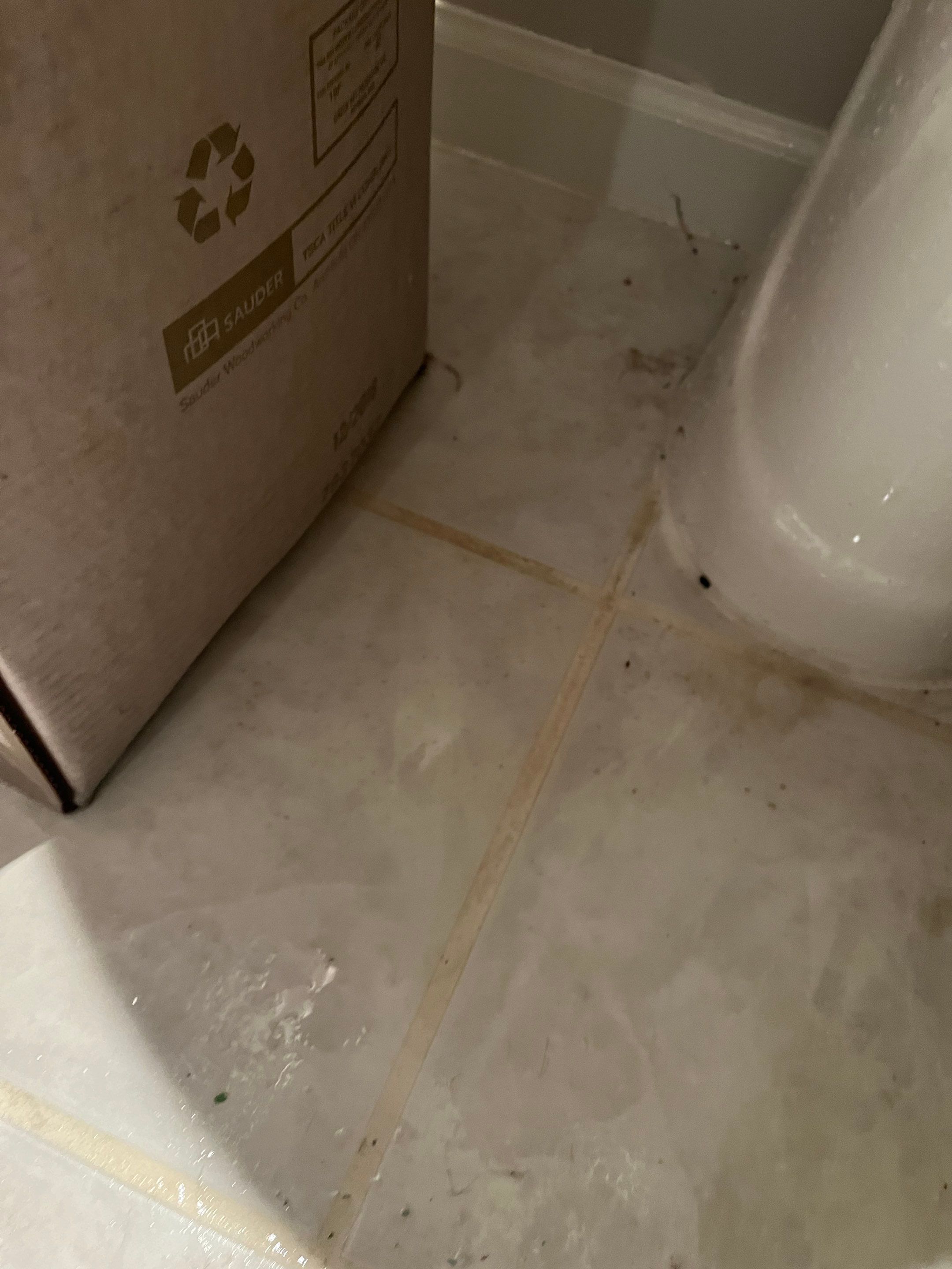 Basement Pipe Burst Emergency Mitigation Demo and Dry Down using Dehumidifiers and Air Movers by Absolute Roofing and Construction