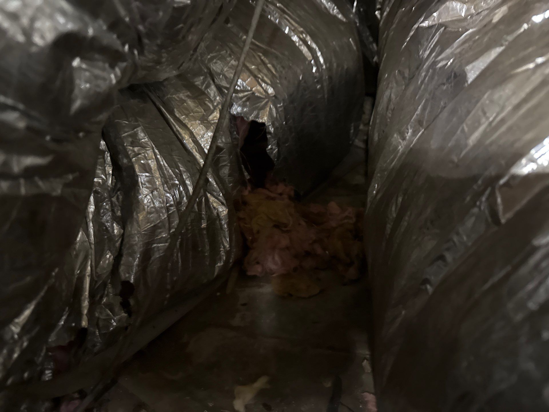 Project in Portsmouth by Patriot Crawl Space Repairs