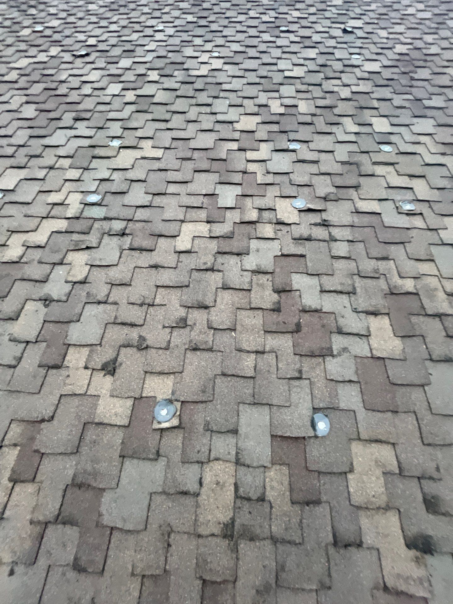 Project in Parker by Storm Guard of South Metro Denver