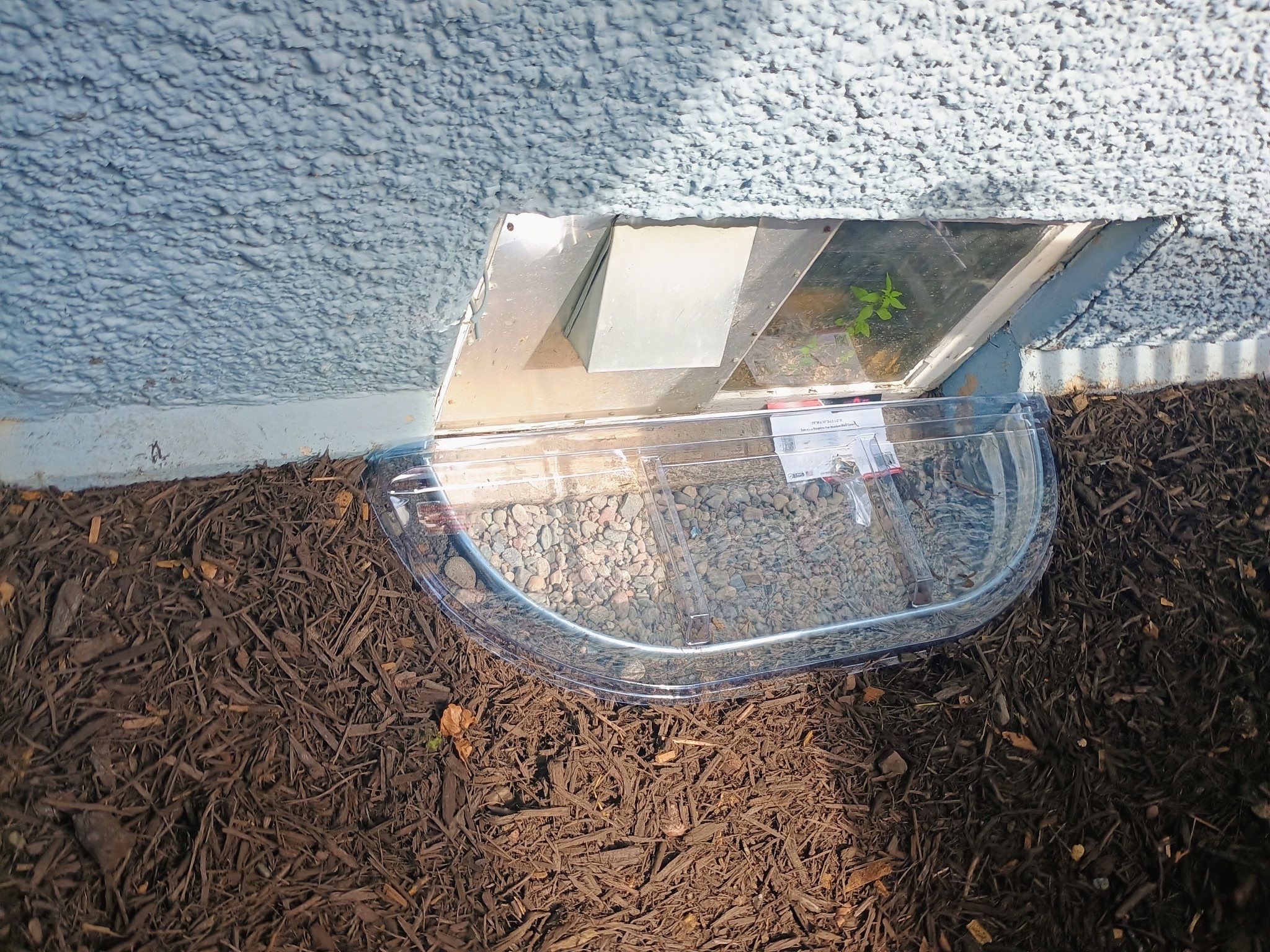 Peter's French Drain and Roof Runoff System Upgrade by Waterproofing Northeast