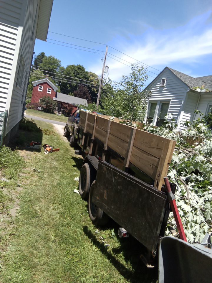 Storm Damaged Tree Removal  using Tree Removal by Mike Jones & Sons Tree Service LLC 