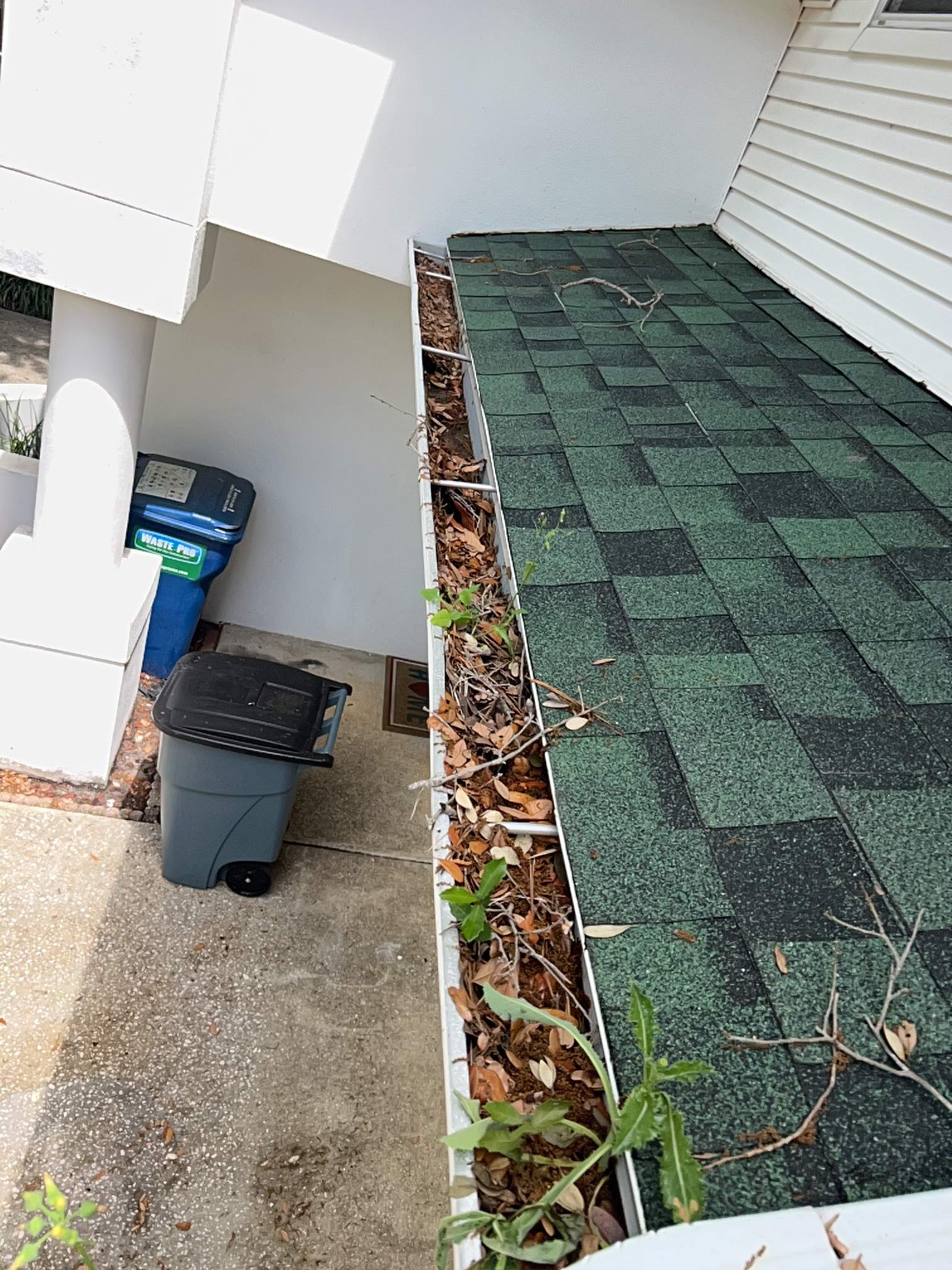 HOA gutter cleaning before photo.