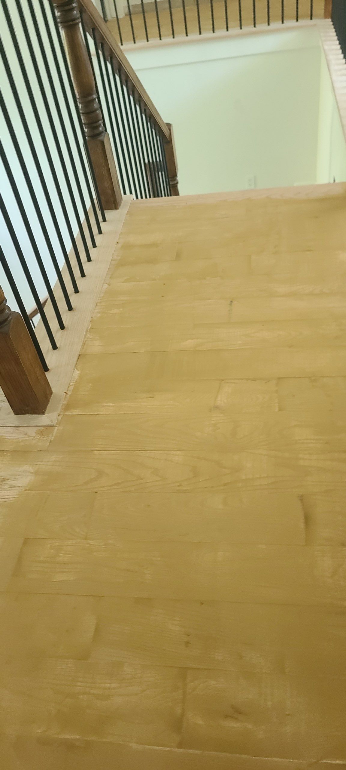 The Napolitano Family by SophAlx LLC