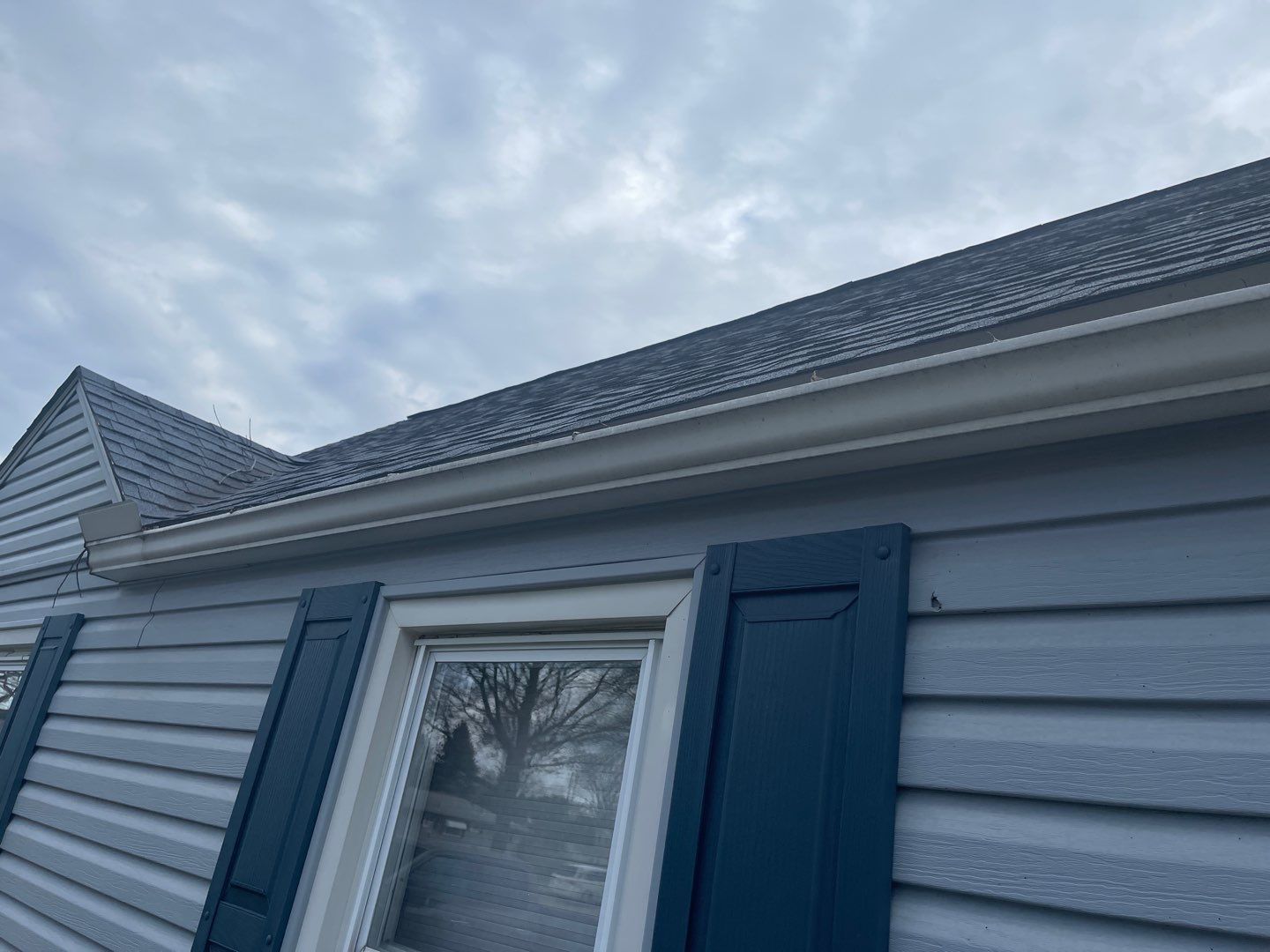 Tammara Maher by Silver Leaf Contracting 