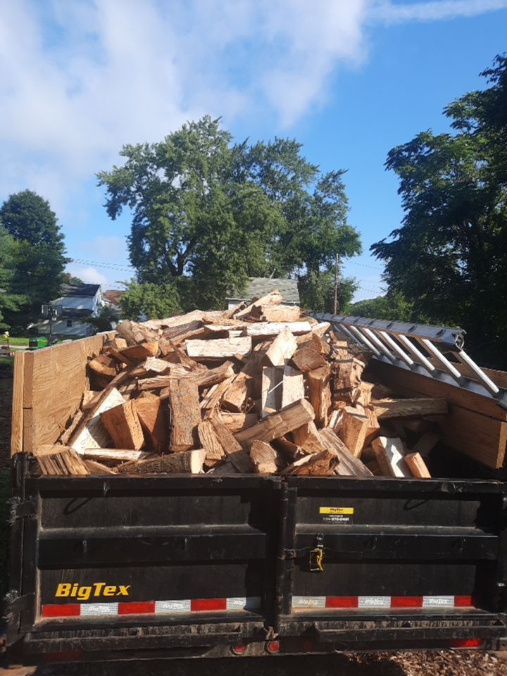 Tree Removal using Tree Removal by Mike Jones & Sons Tree Service LLC 