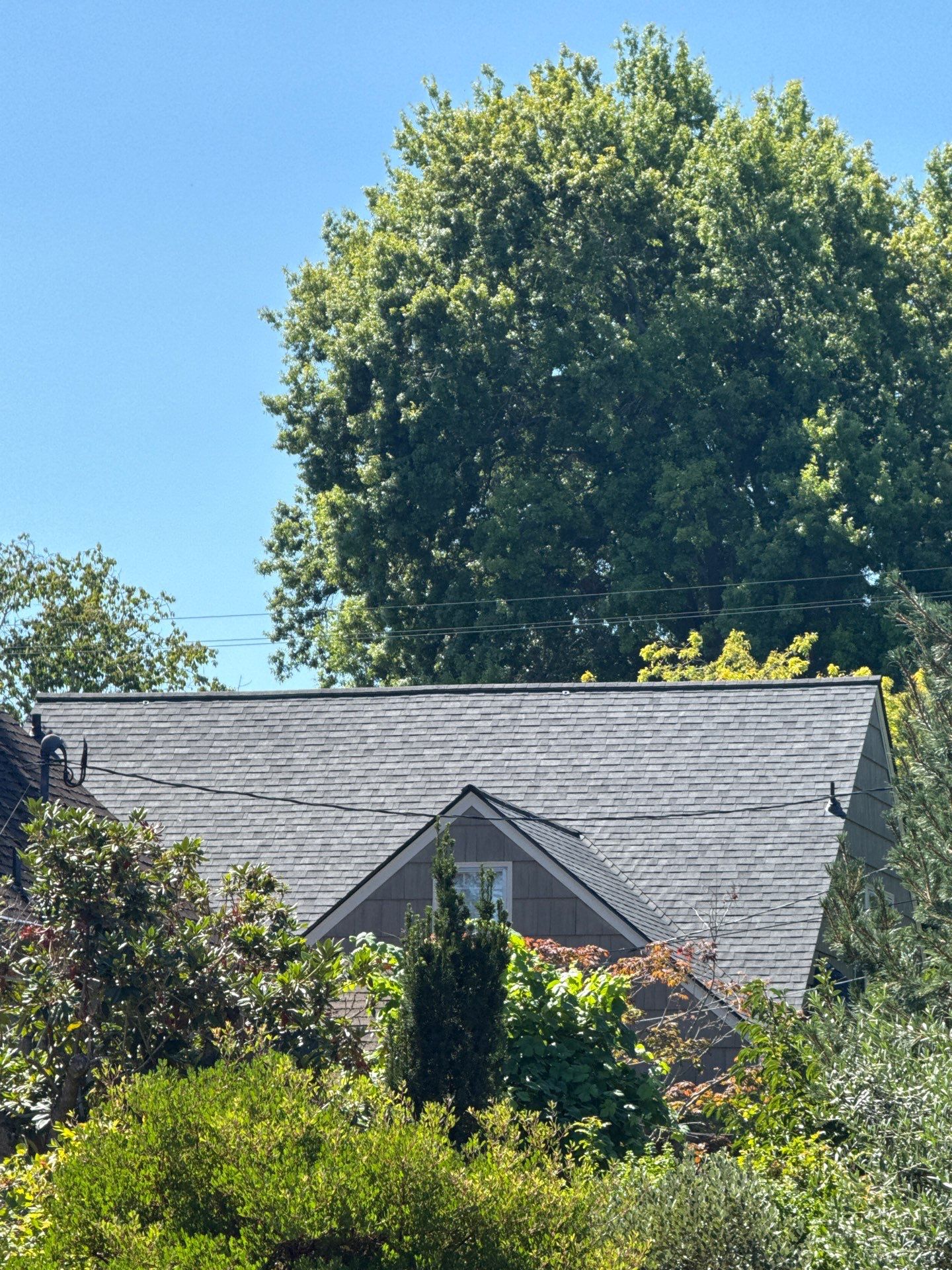 Project in Portland by Tom Leach Roofing