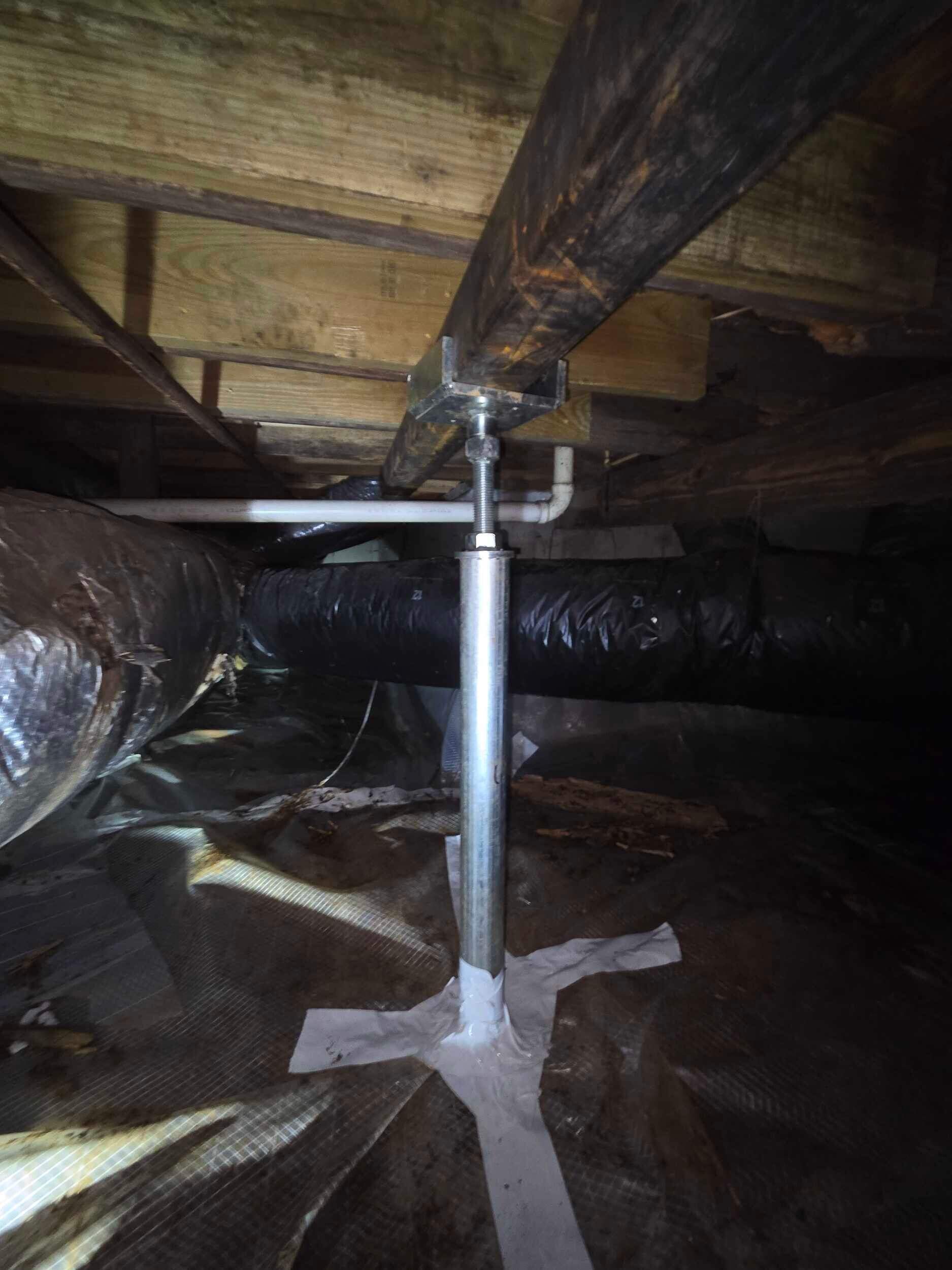 Marline D by Guardian Foundation Repair LLC