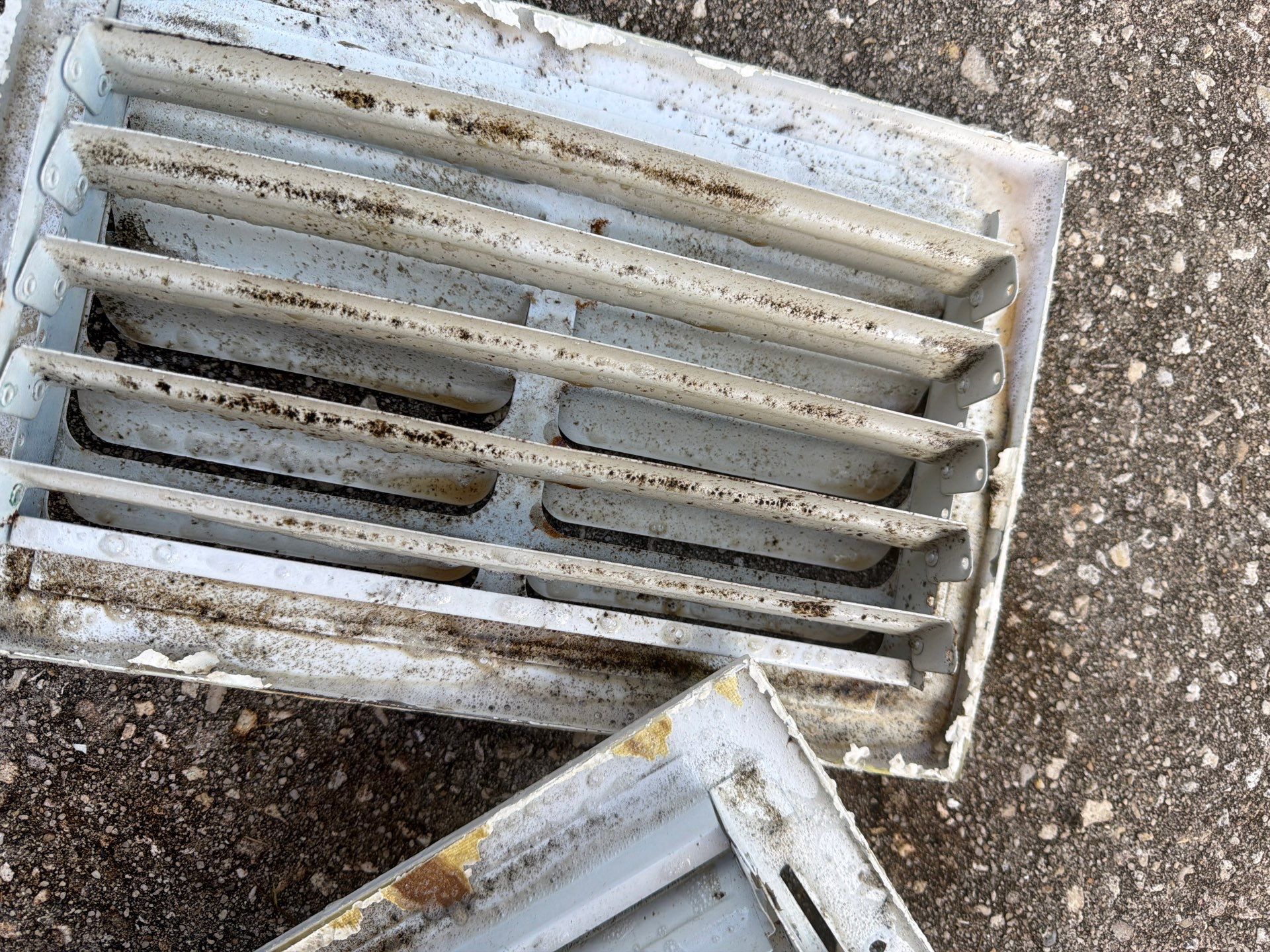 Air Duct Cleaning in Clermont by Hygienic Air, Inc