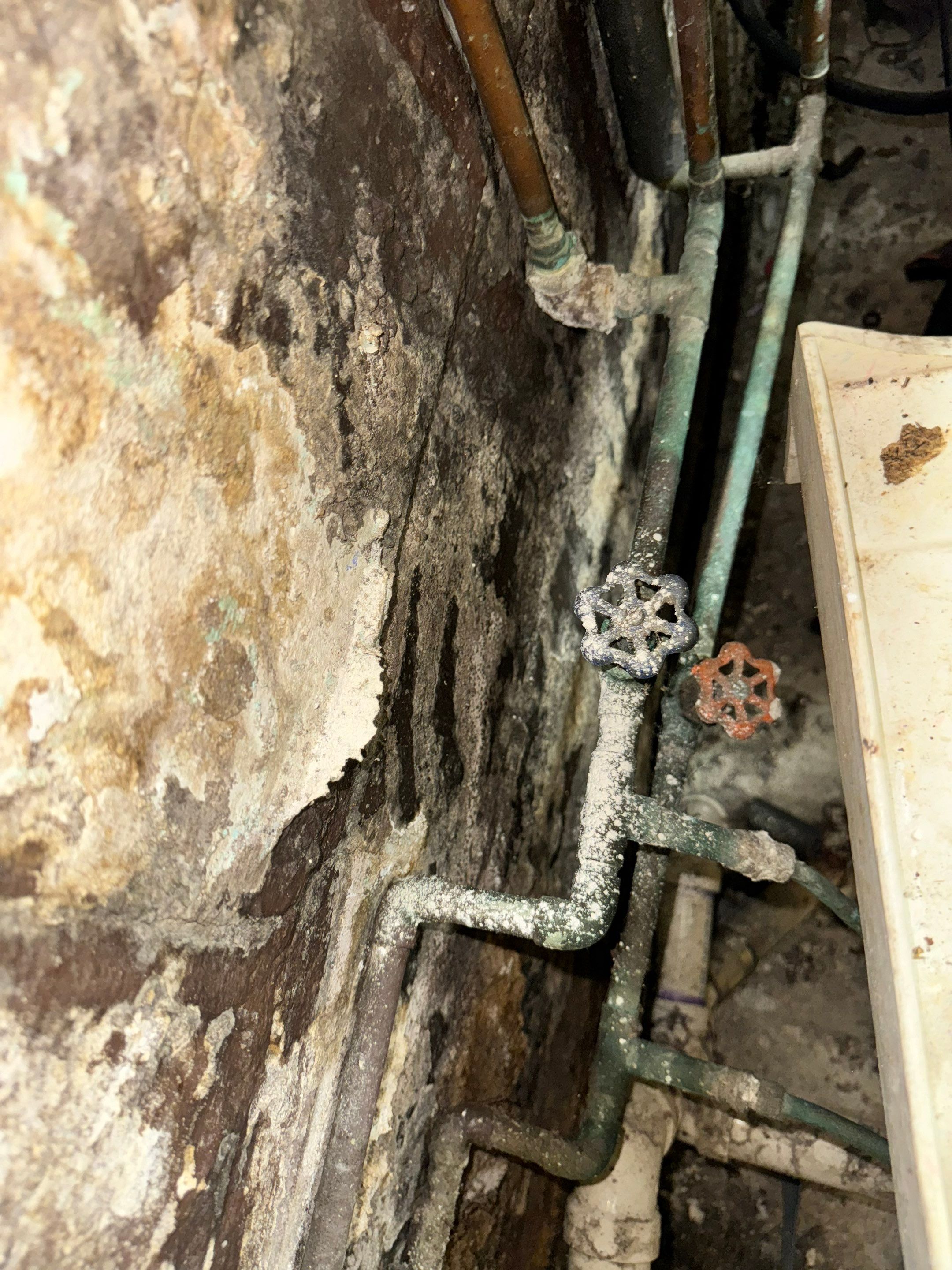 Interior French Drain West Orange NJ by Pure Service Pro, LLC 