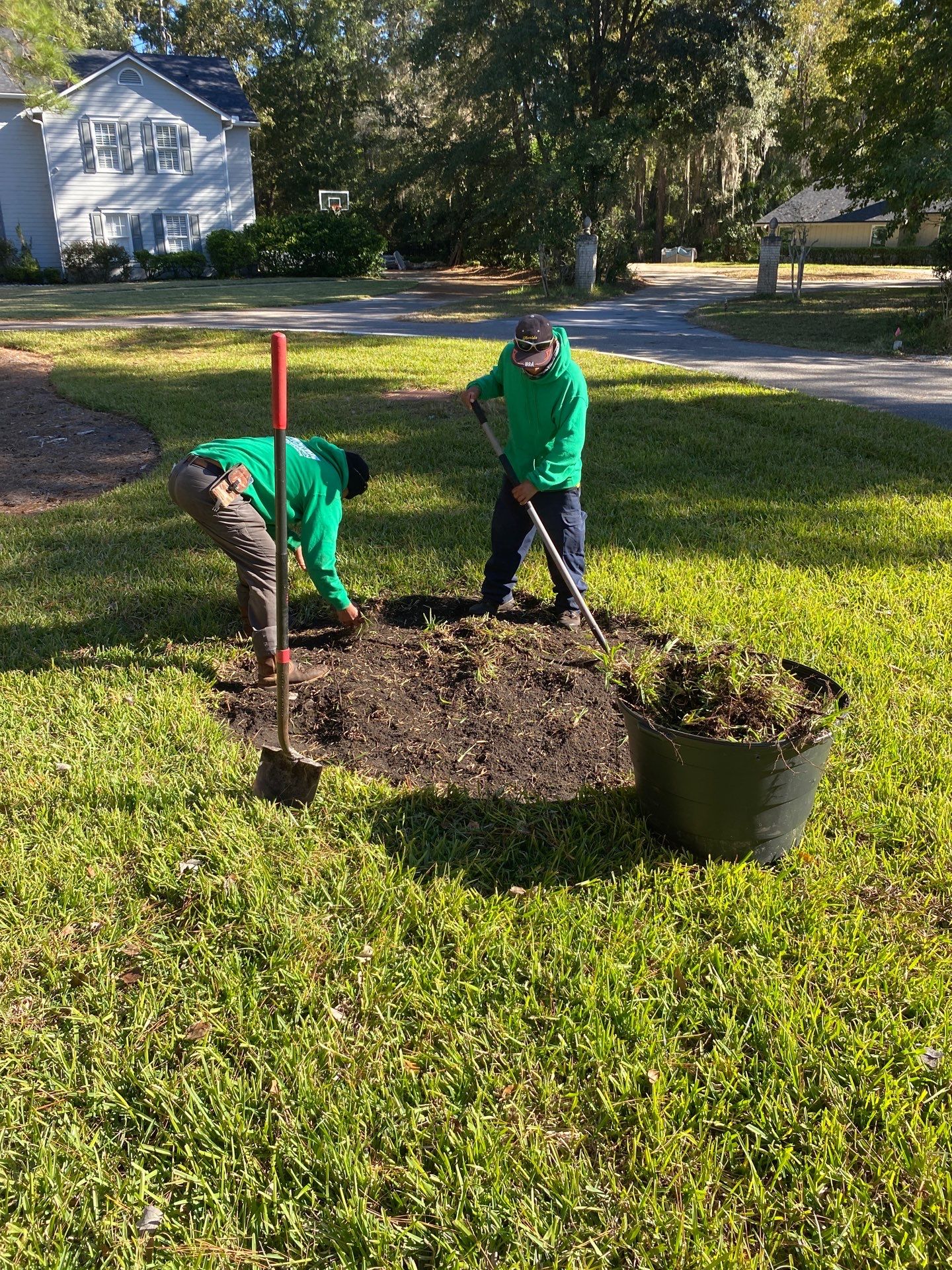 Deerwood Community | Oak Tree Replacement Project by ProGreen Services