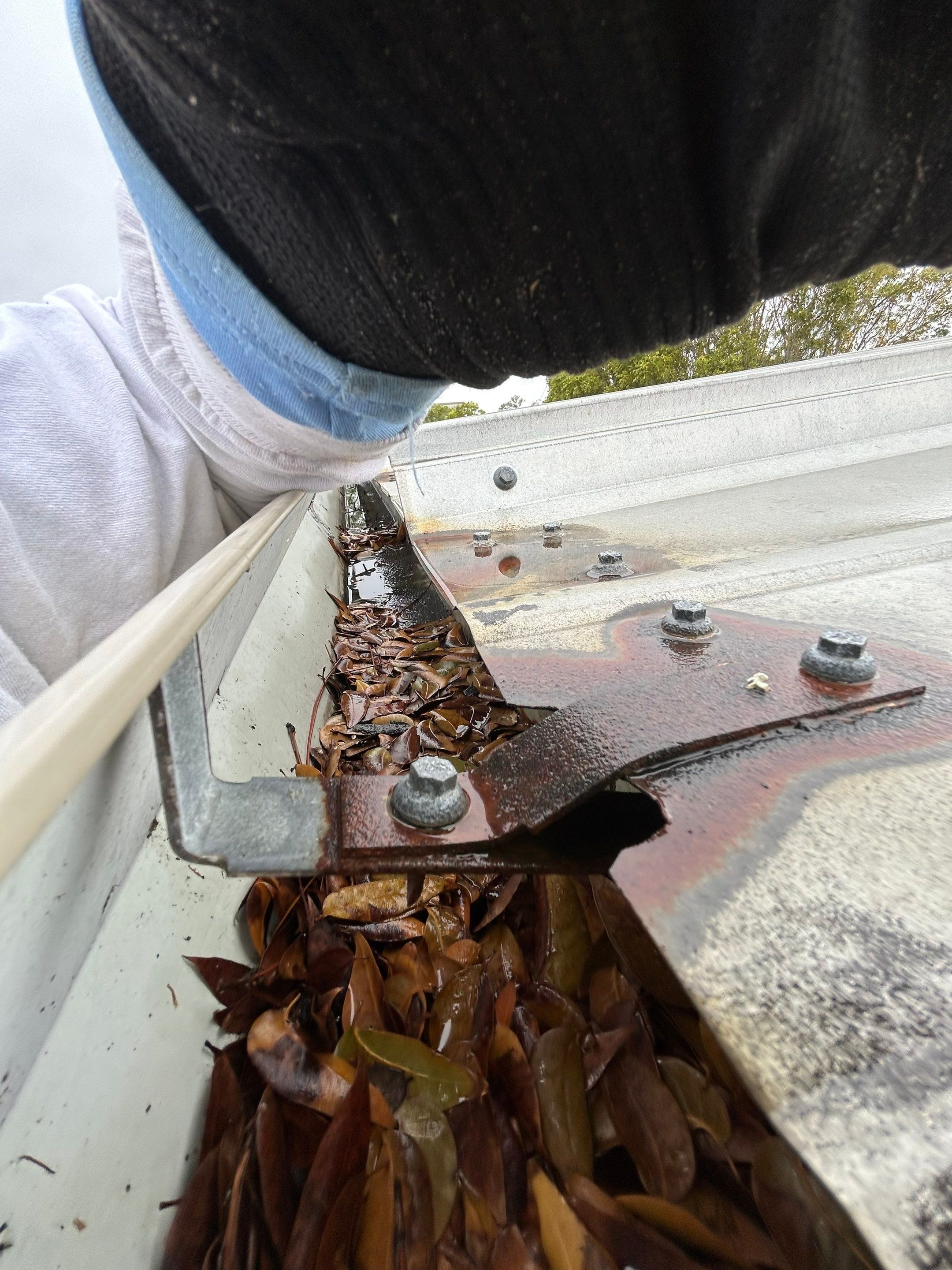 Gutter Cleaning Services in Fort Myers FL by Gutter Professors