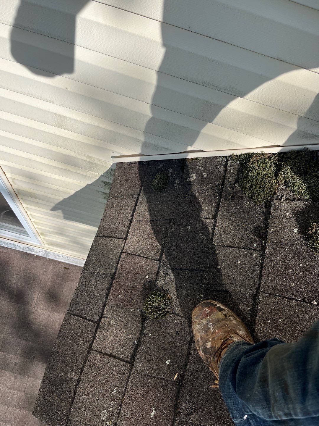 Roof Replacement using GAF Timberline by CMNG LLC