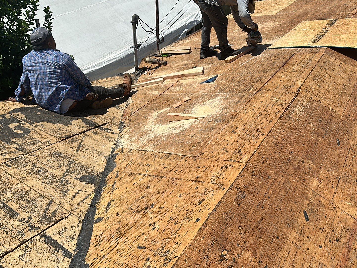 Estate Gray Shingles by Reimagine Roofing