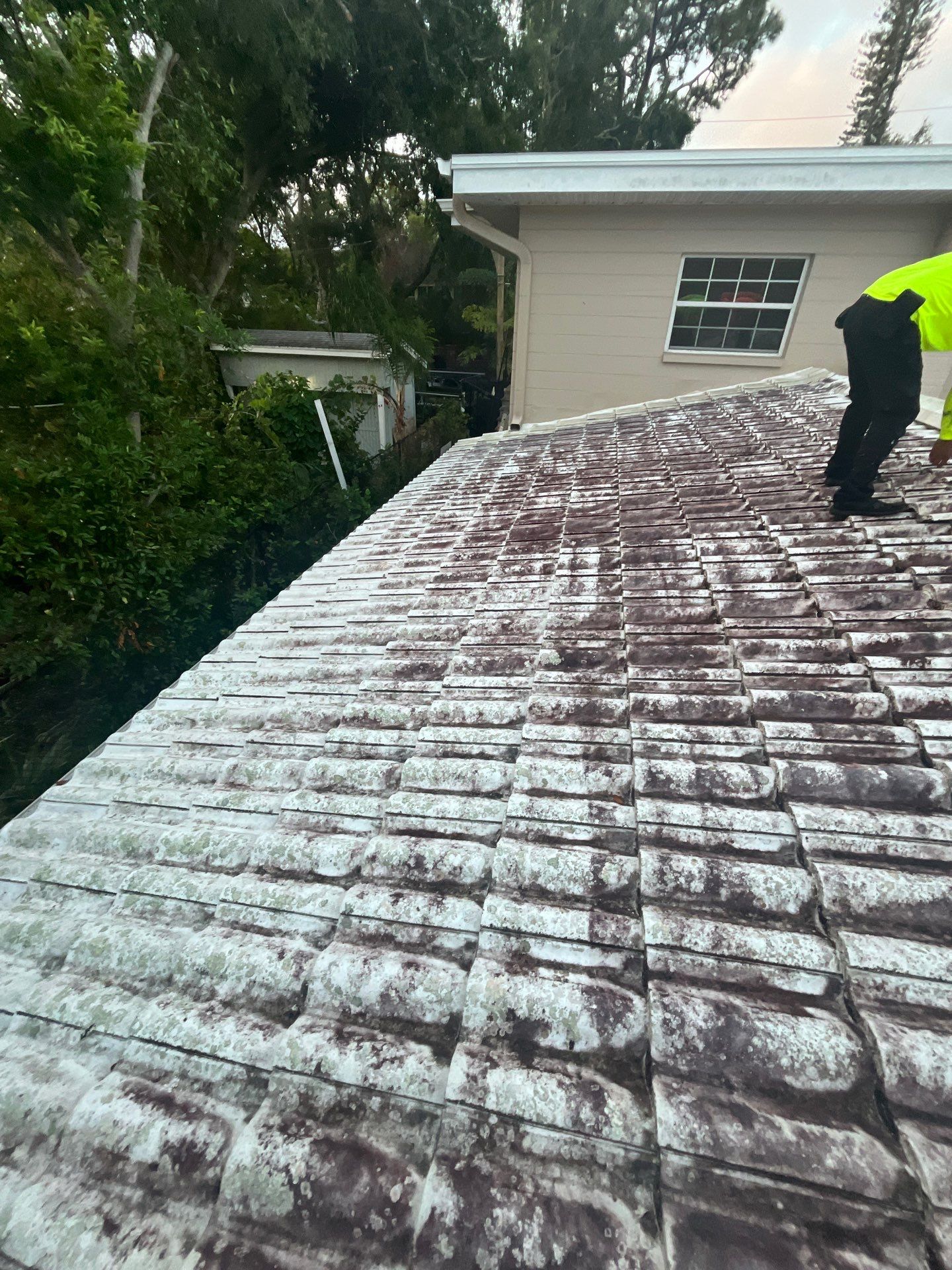 Project in St. Petersburg 33704 by Mitchell Roofing Company LLC 