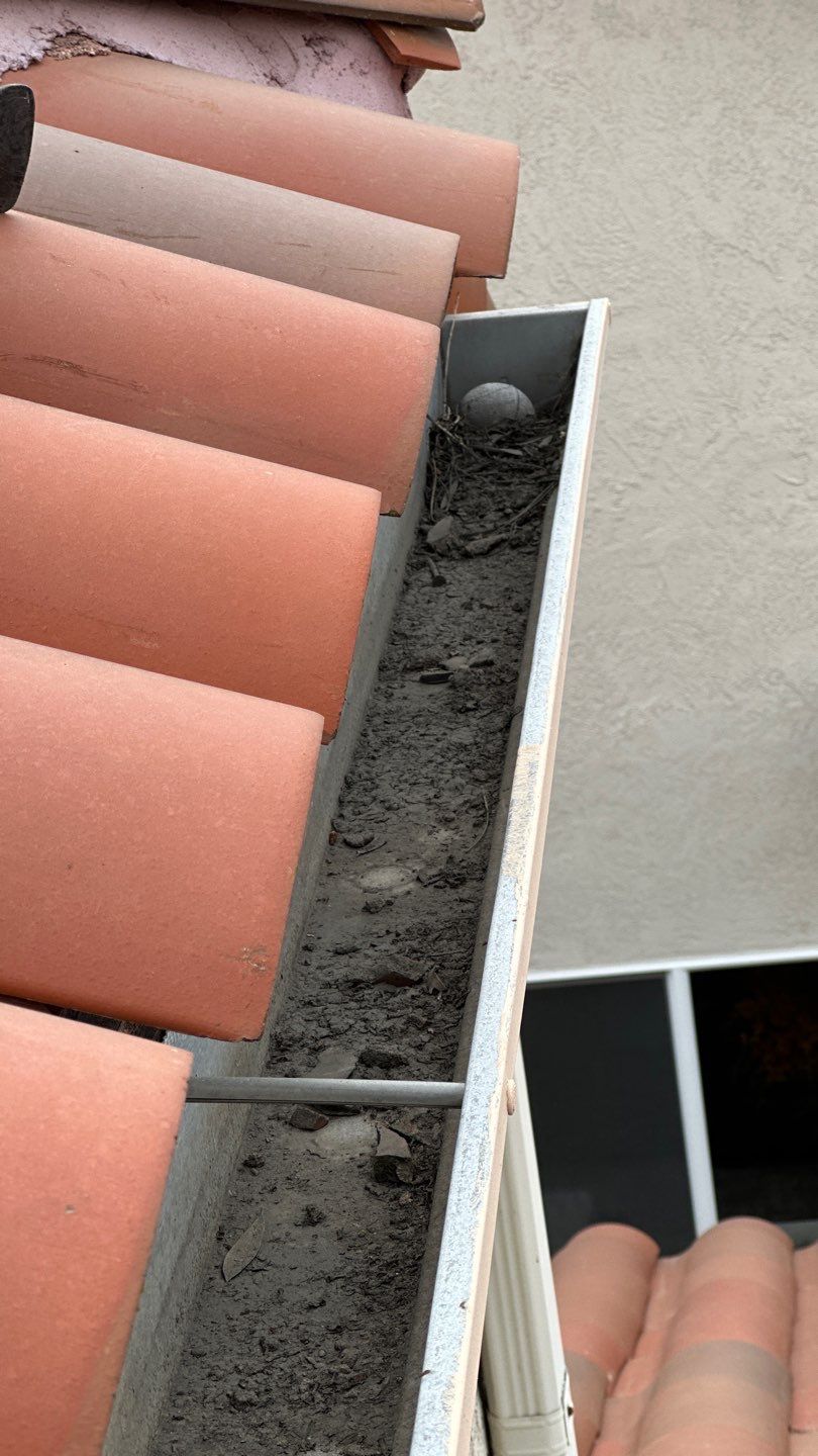 Mission Viejo Gutter Cleaning by Property Cleaning Experts