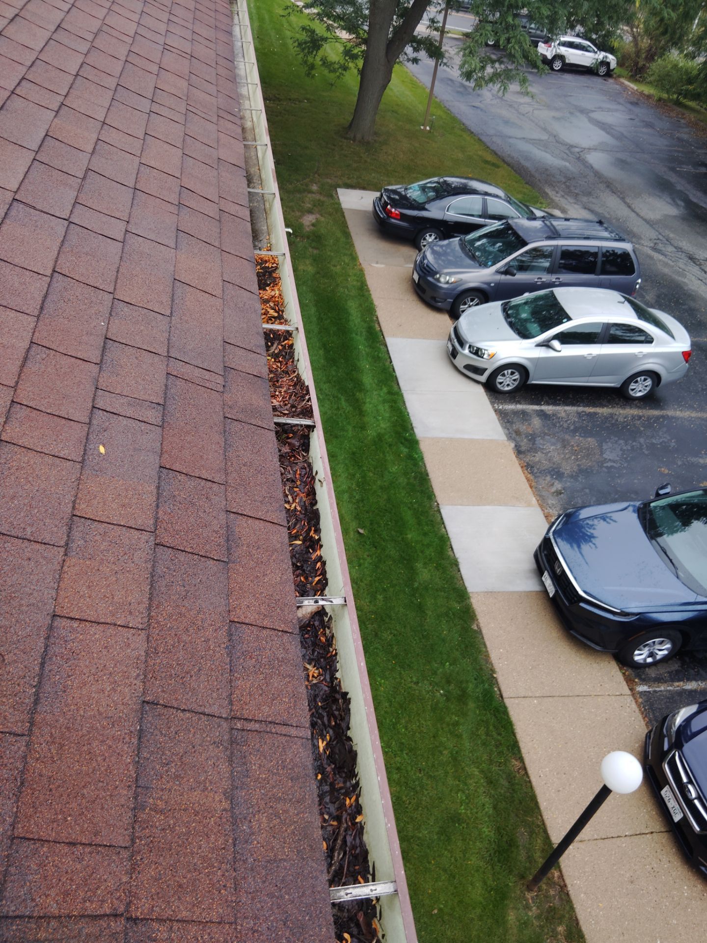 Commercial gutter cleaning Madison, WI before photo with filled gutters