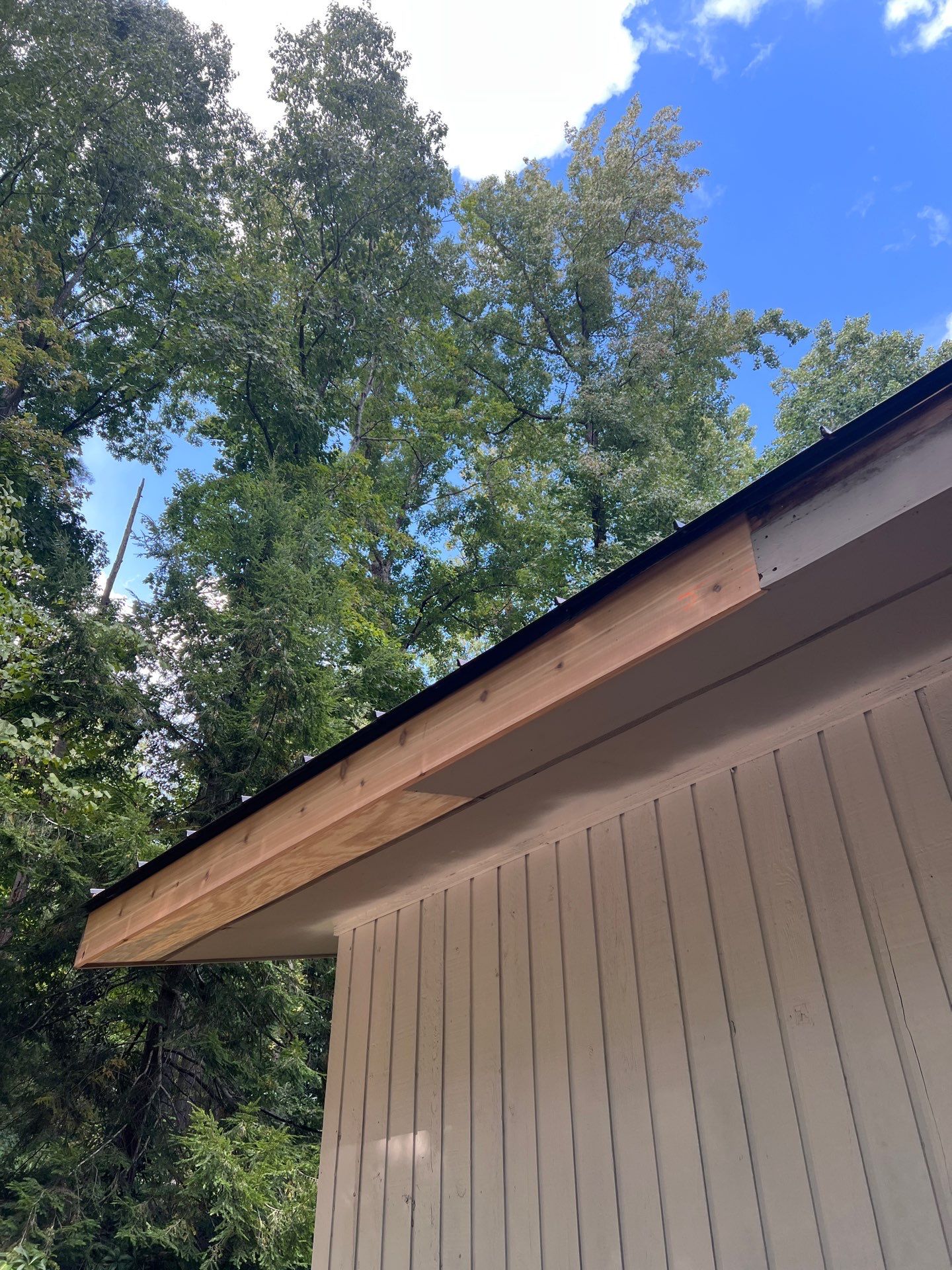 Complete exterior refresh with carpentry repairs by GonzalezPainters & Contractors Inc