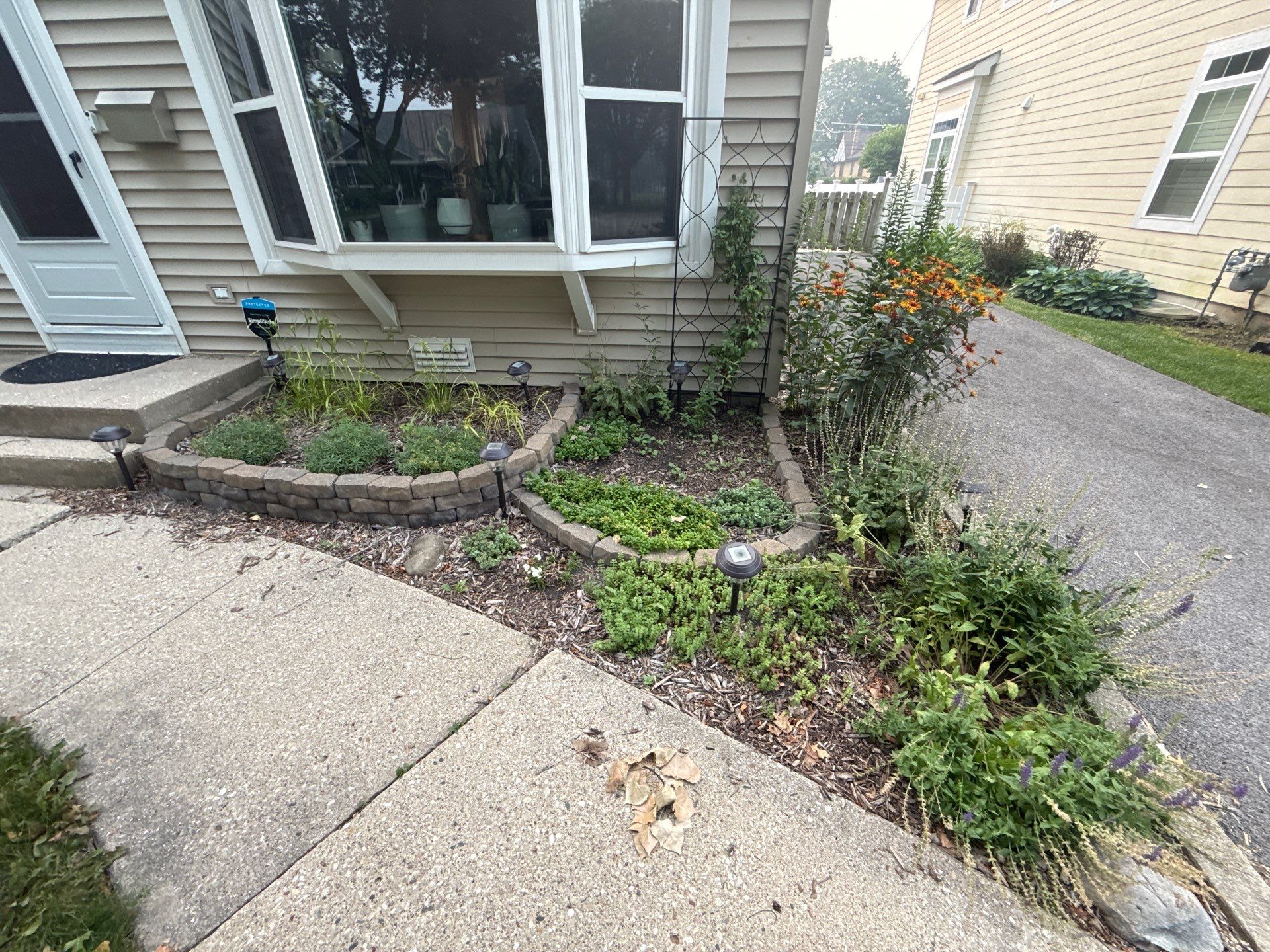 Allison C. - Arlington Heights, IL by A&N