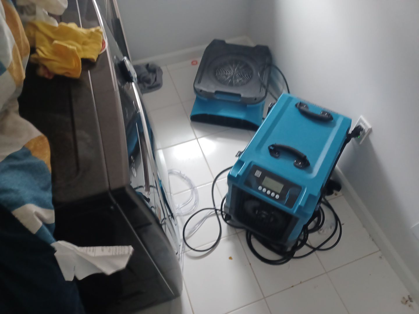 Project in South Lyon by EzDry Water Mitigation & Property Restoration