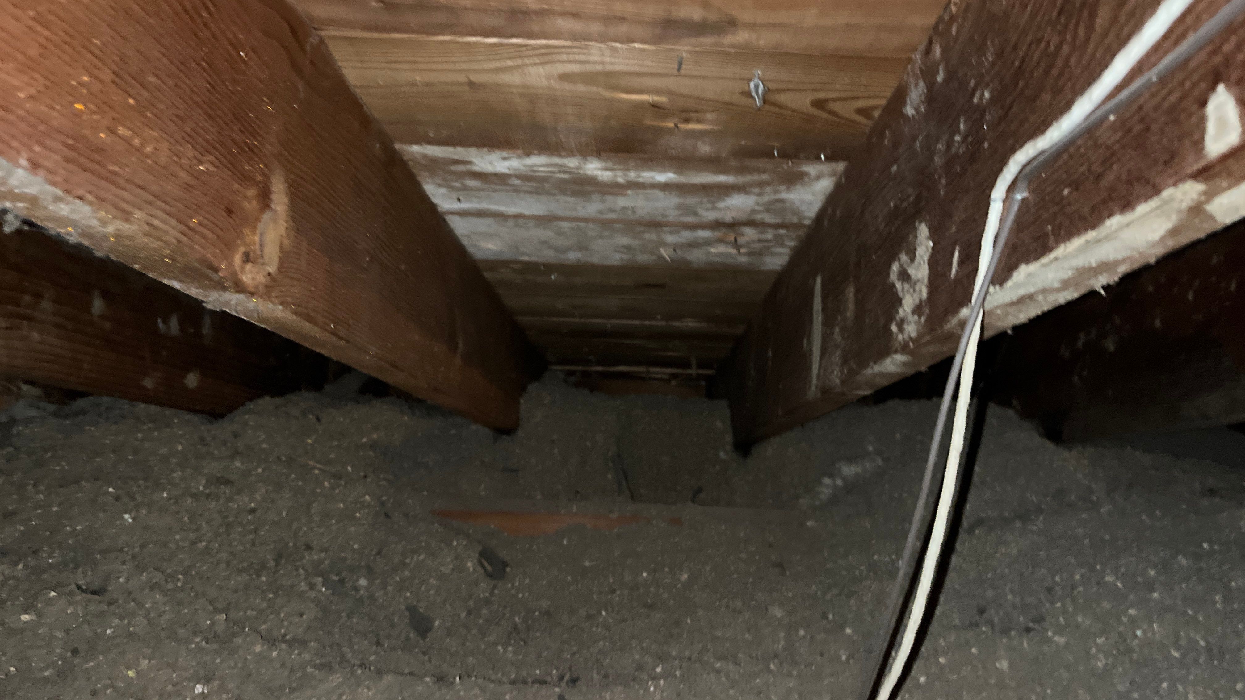 Project in Washington, DC by Founders Insulation