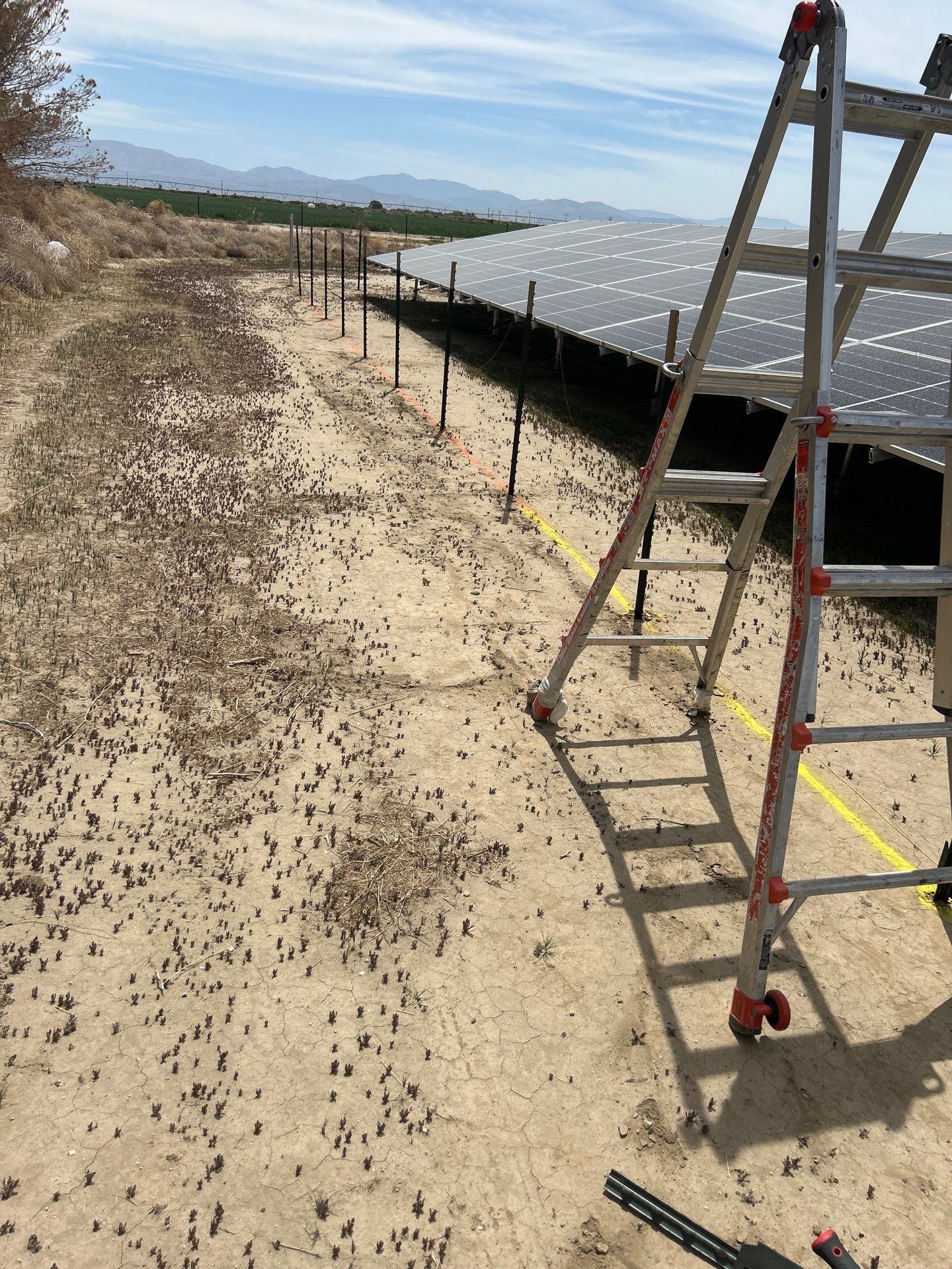 Large-Scale Ground-Mount Solar and Tesla Powerwall Battery Installation by AWS Solar