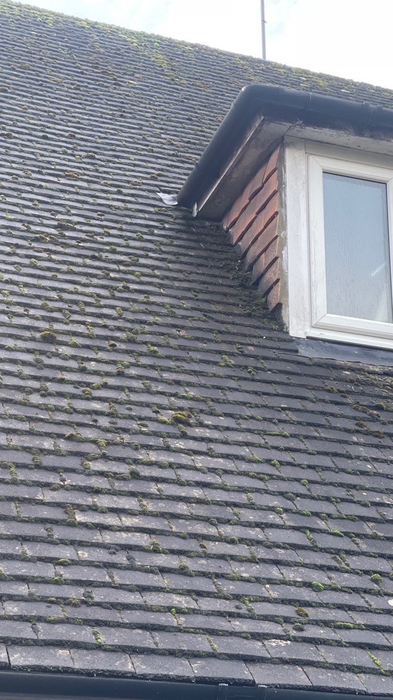 Roof Clean - Biocide Treatment using Honda 15lpm Low Pressure Washing Machine by Ges Exterior Cleaning ltd