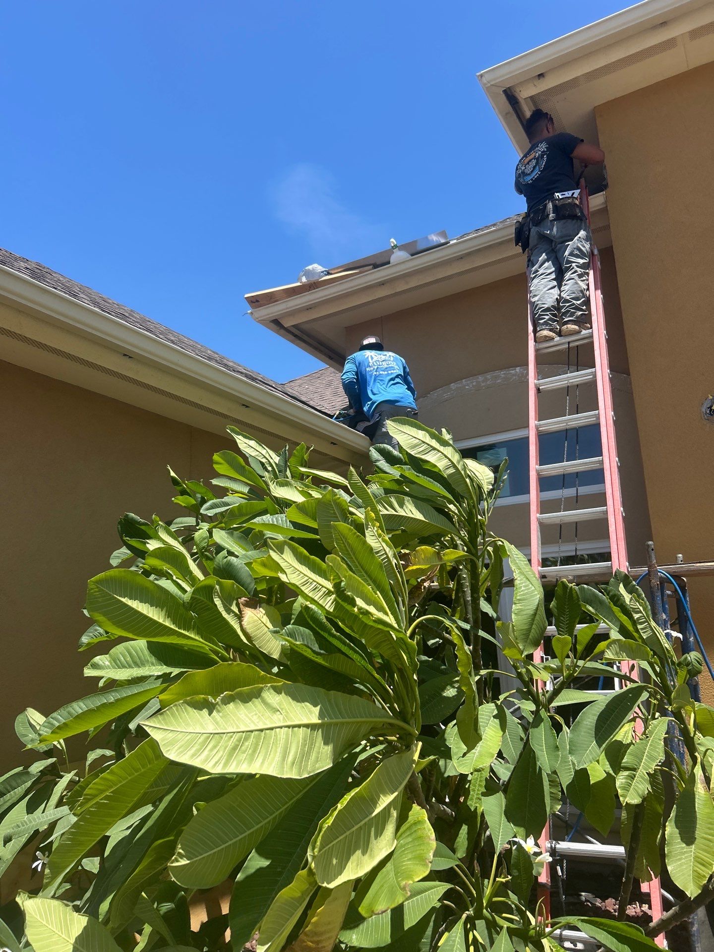 Stucco Problems in Paradise  by Bayfront Roofing and Construction