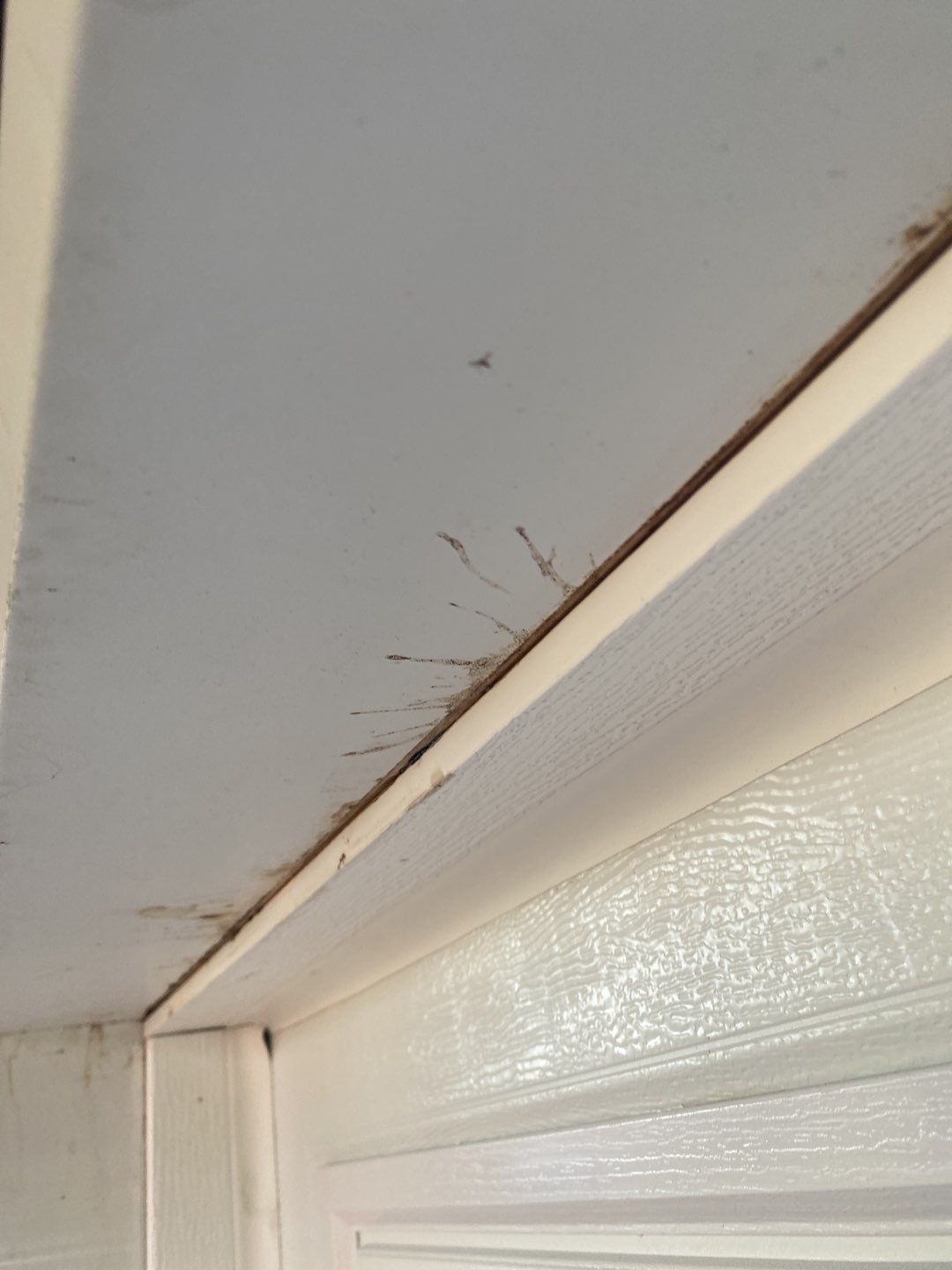 New Addition to Home using Wolf deck  by A Plus Exterior