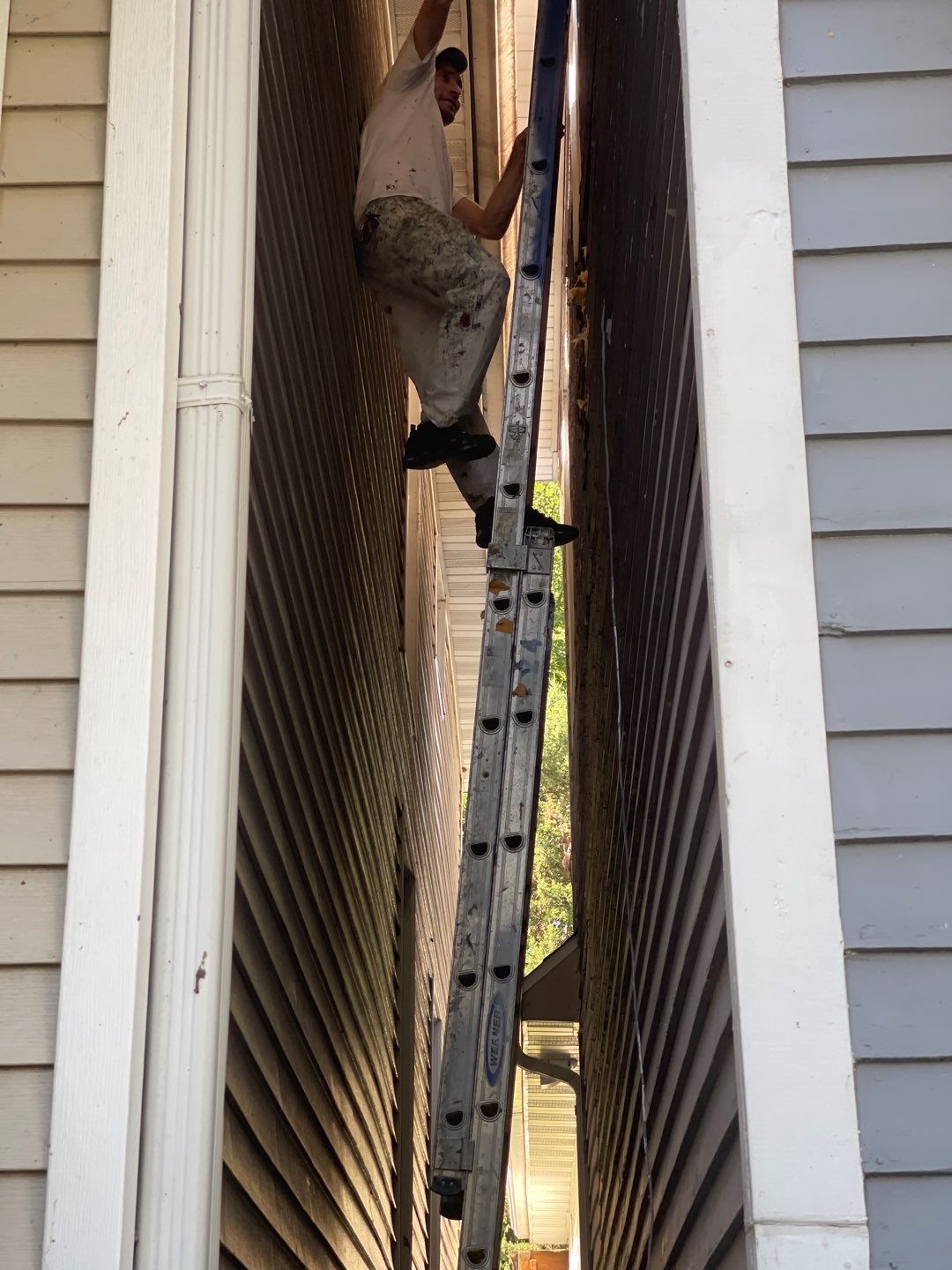 Megna Crew Showcase by Megna Painting