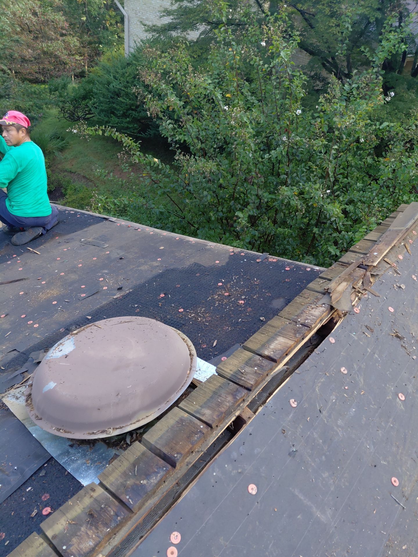 Vienna : Residential Roof Replacement with CertainTeed Landmark Pro in Max Def Georgetown Gray  by RM Banning, Inc.